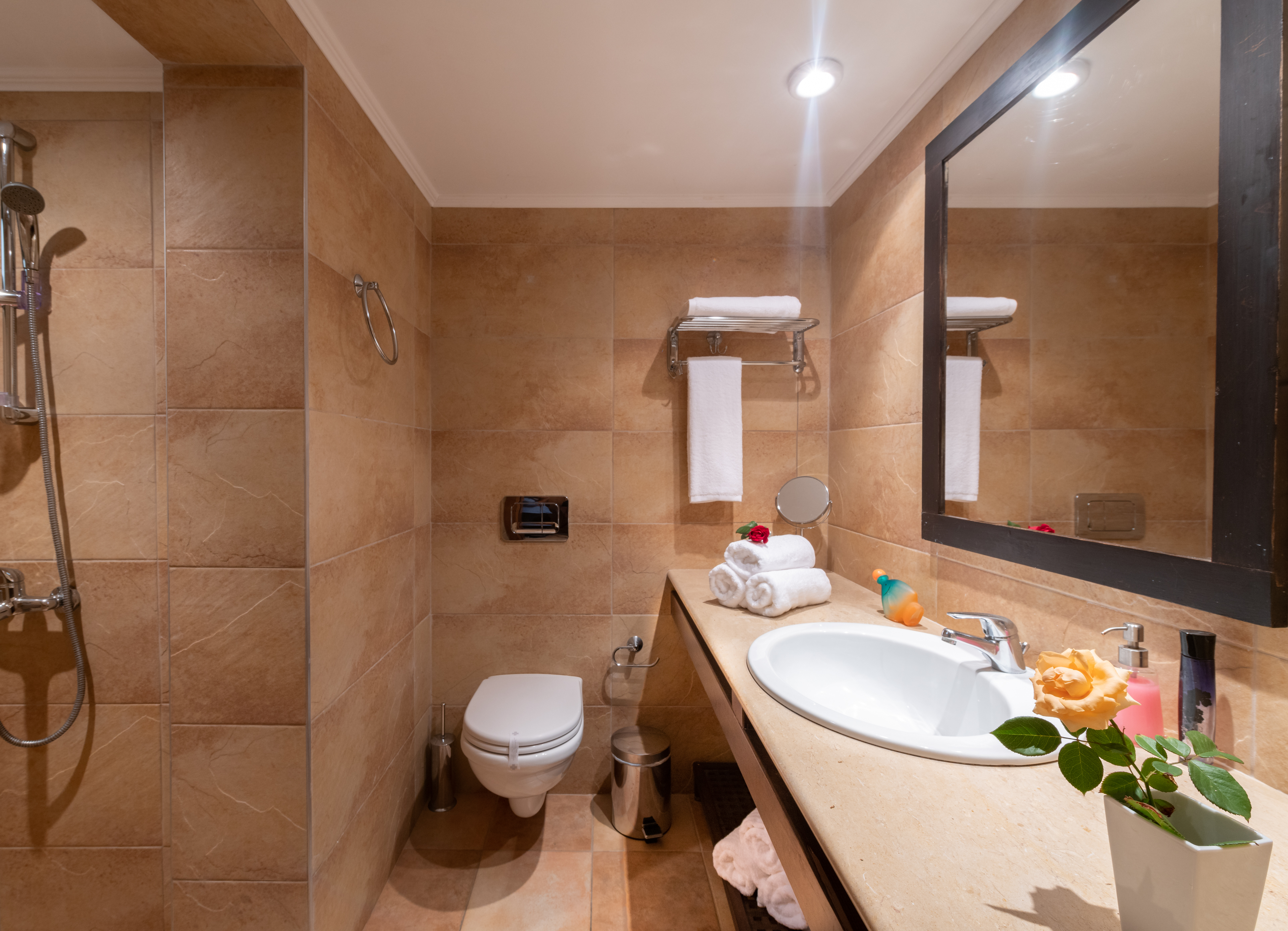 Apartment Superior Garden View