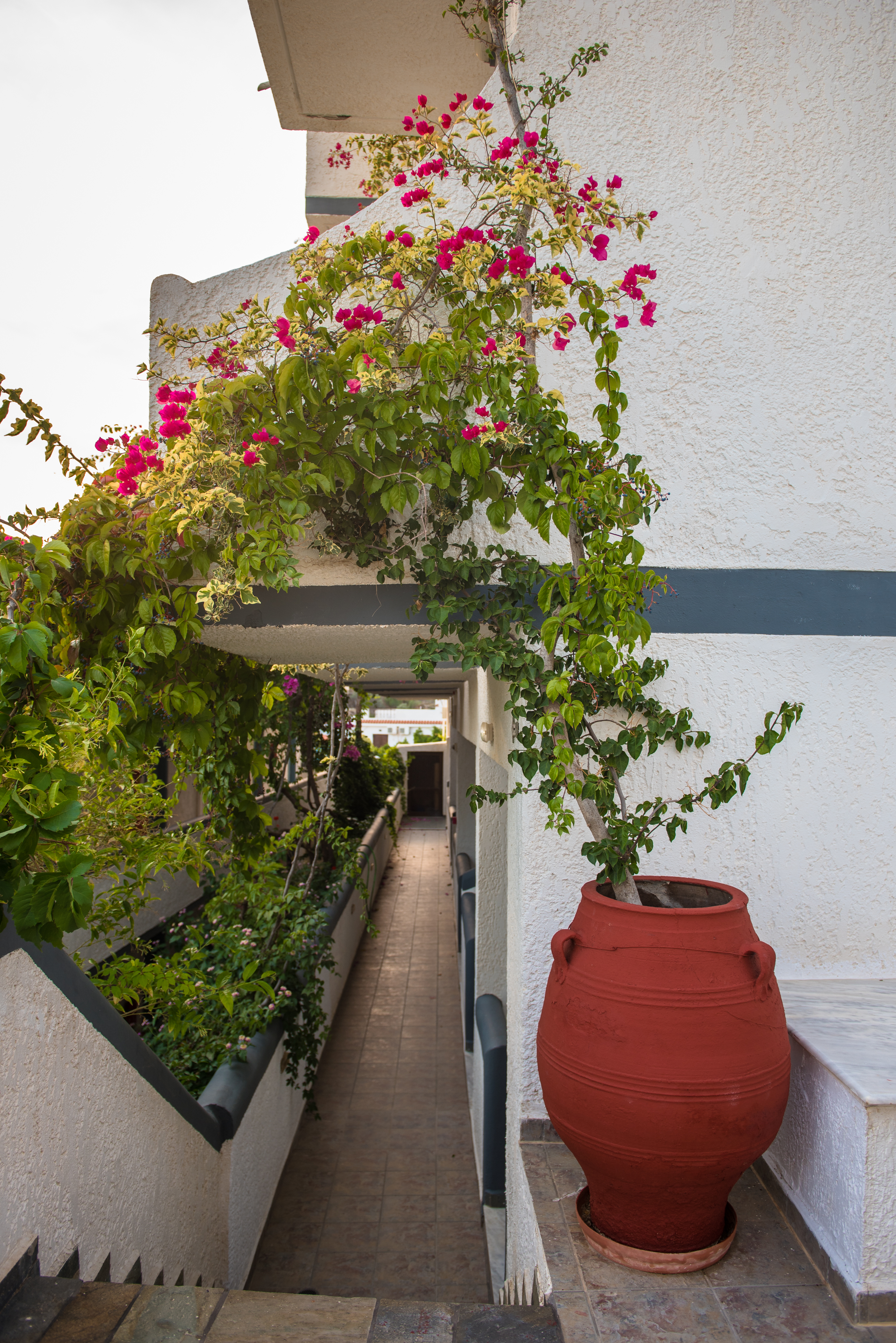 Double or Twin Garden View