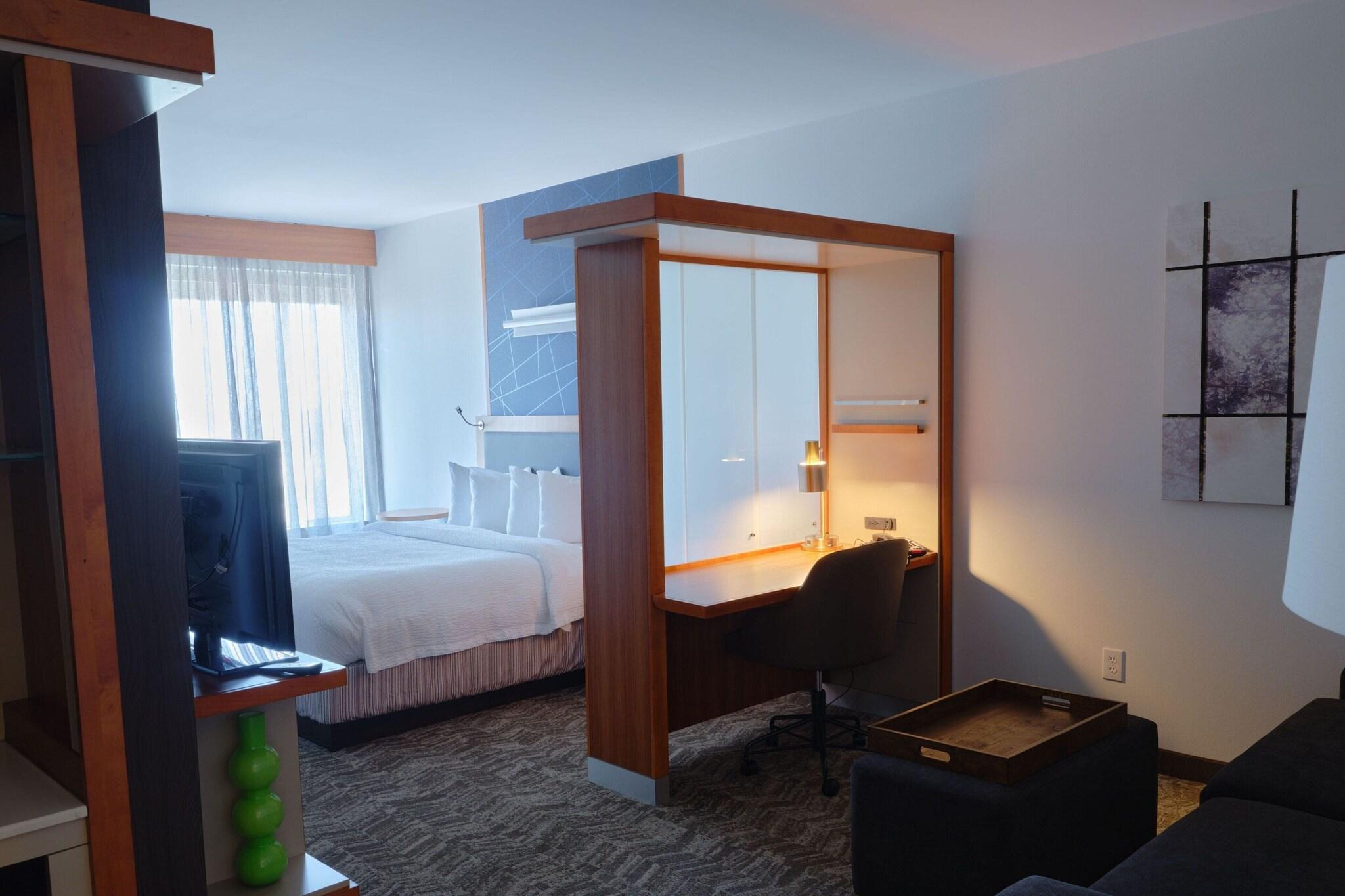 Suite King Bed One Bedroom 