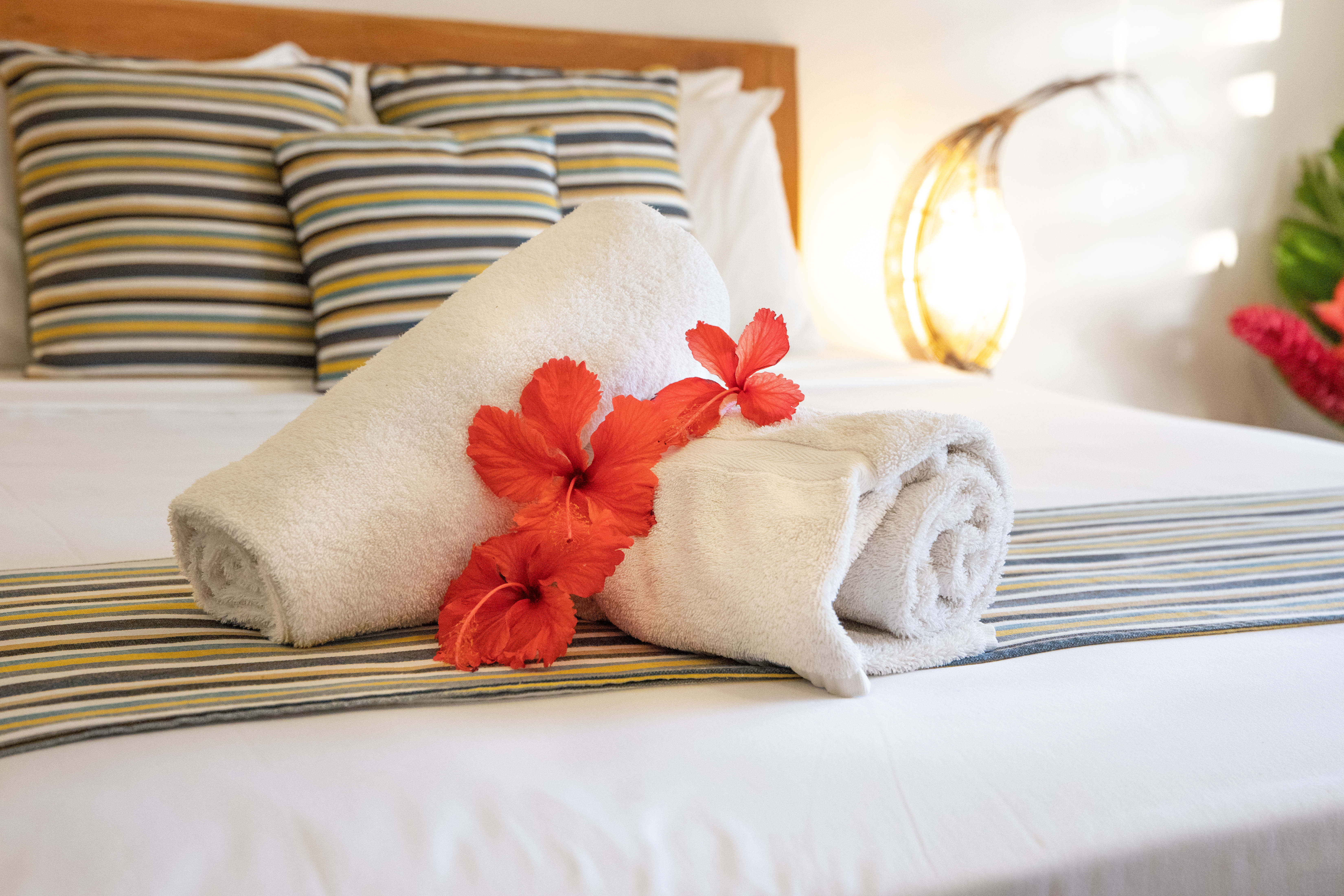 Apartment Two Bedrooms