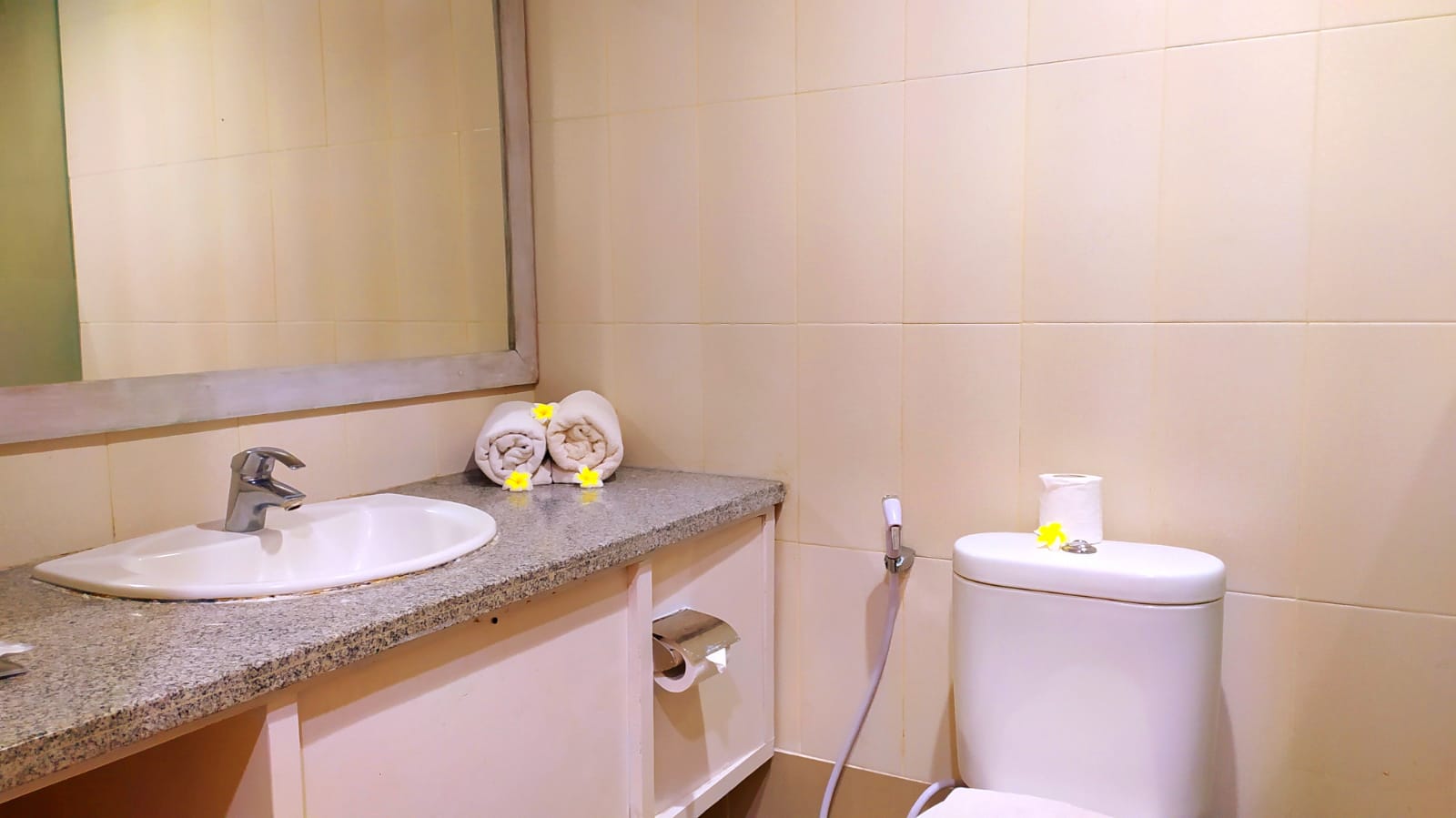 Double or Twin Superior