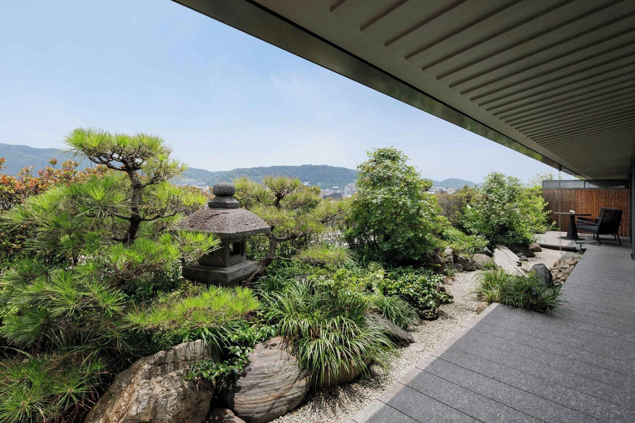 Suite Mountain View