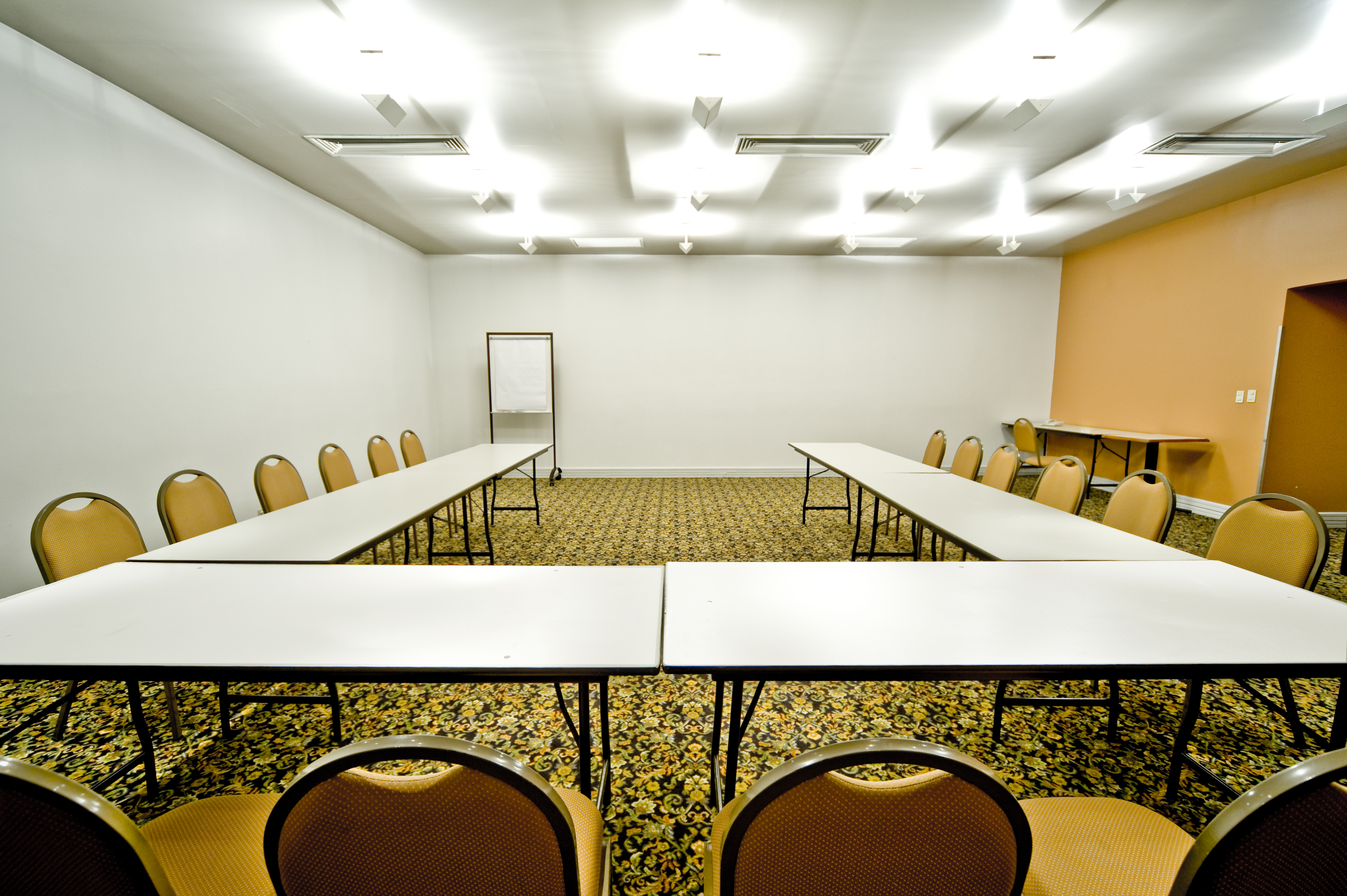Conferences