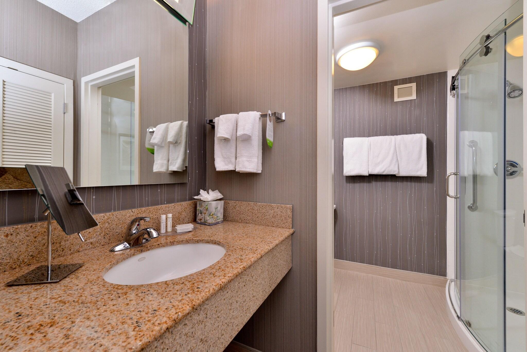 Suite King Bed One Bedroom 