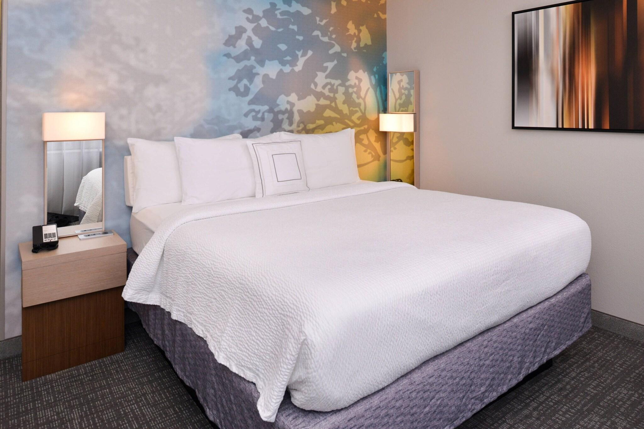 Suite King Bed One Bedroom 