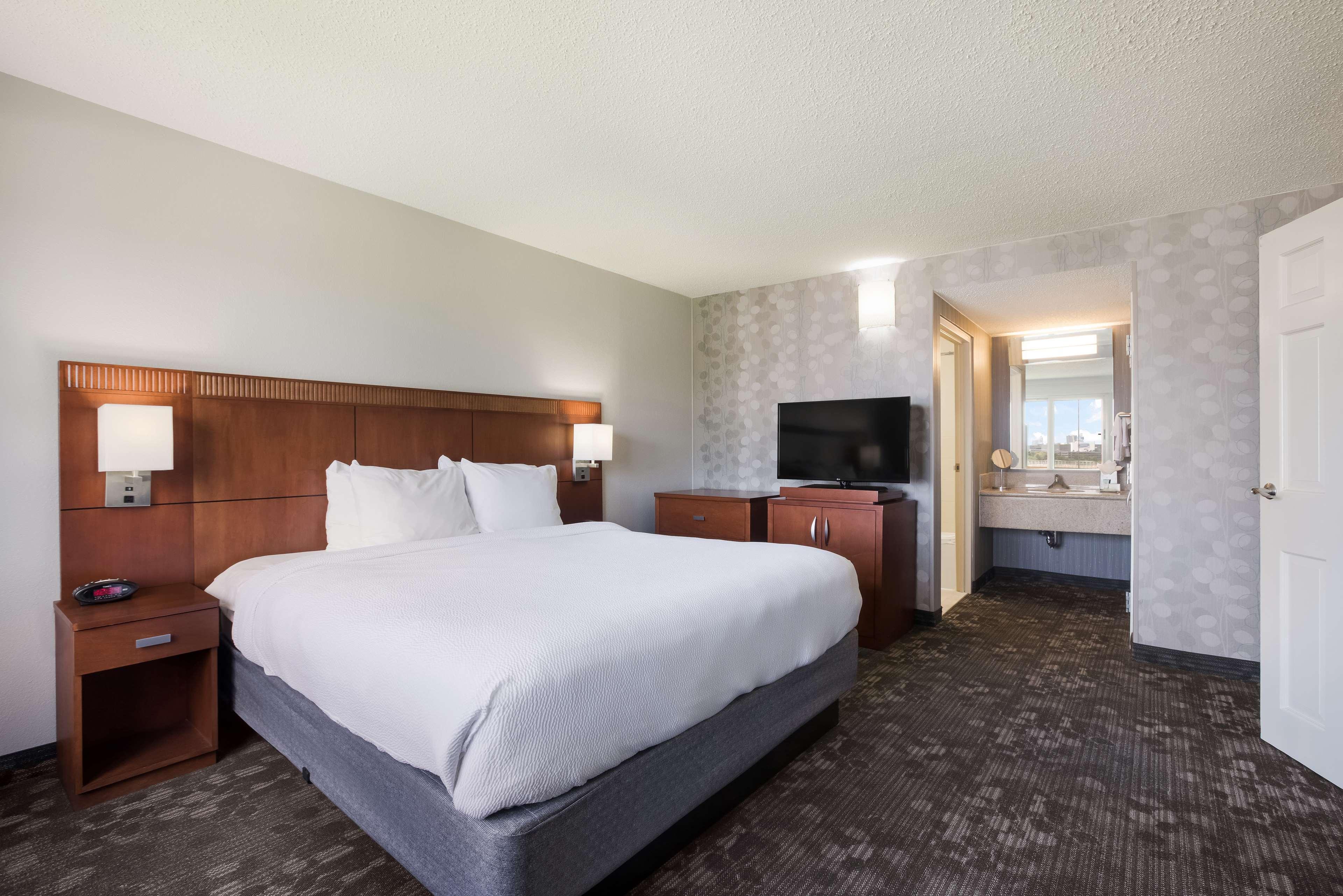 Suite King Bed One Bedroom 