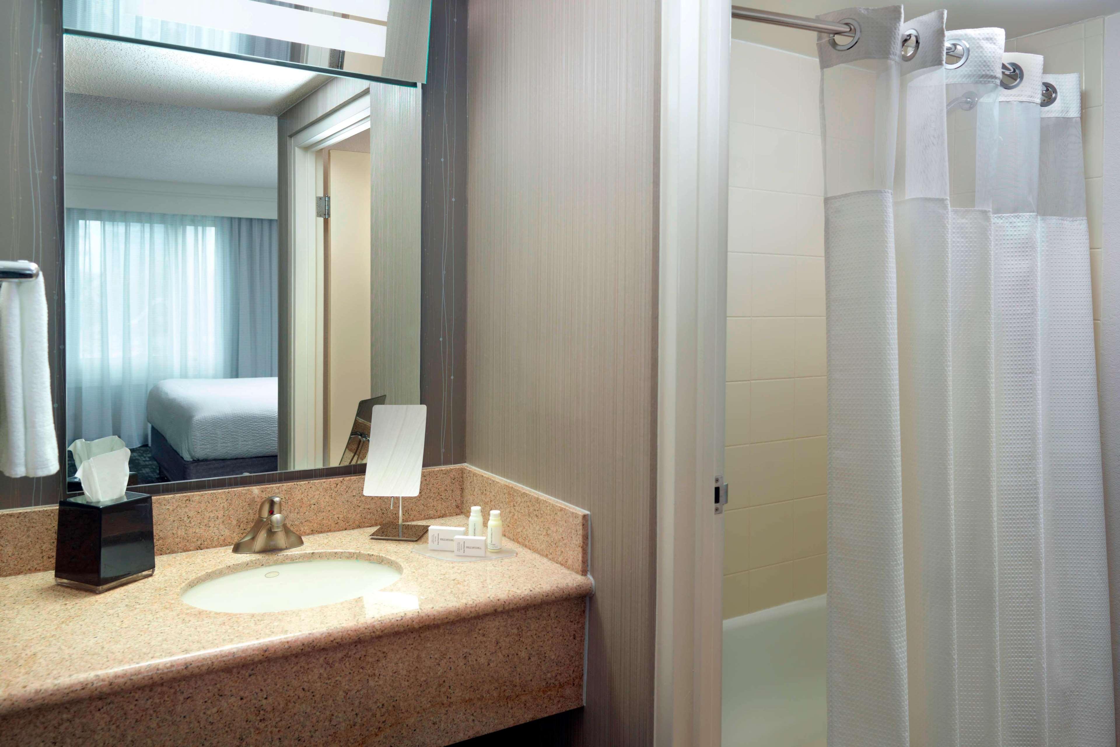 Suite King Bed One Bedroom 