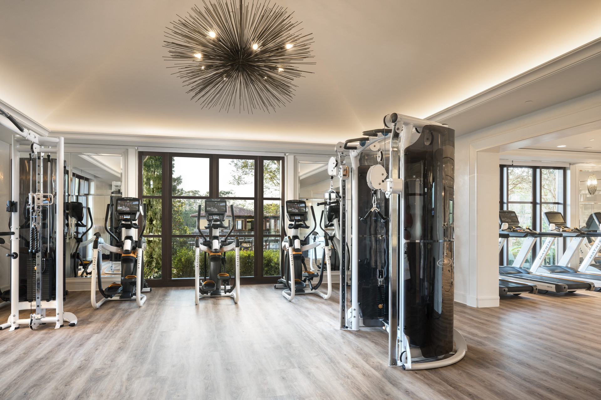 Sports and Entertainment