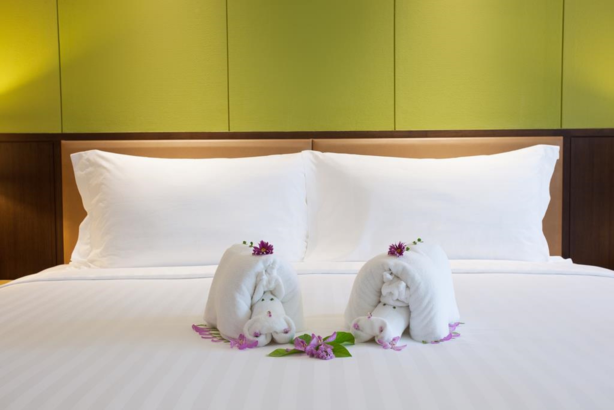 Double or Twin Standard