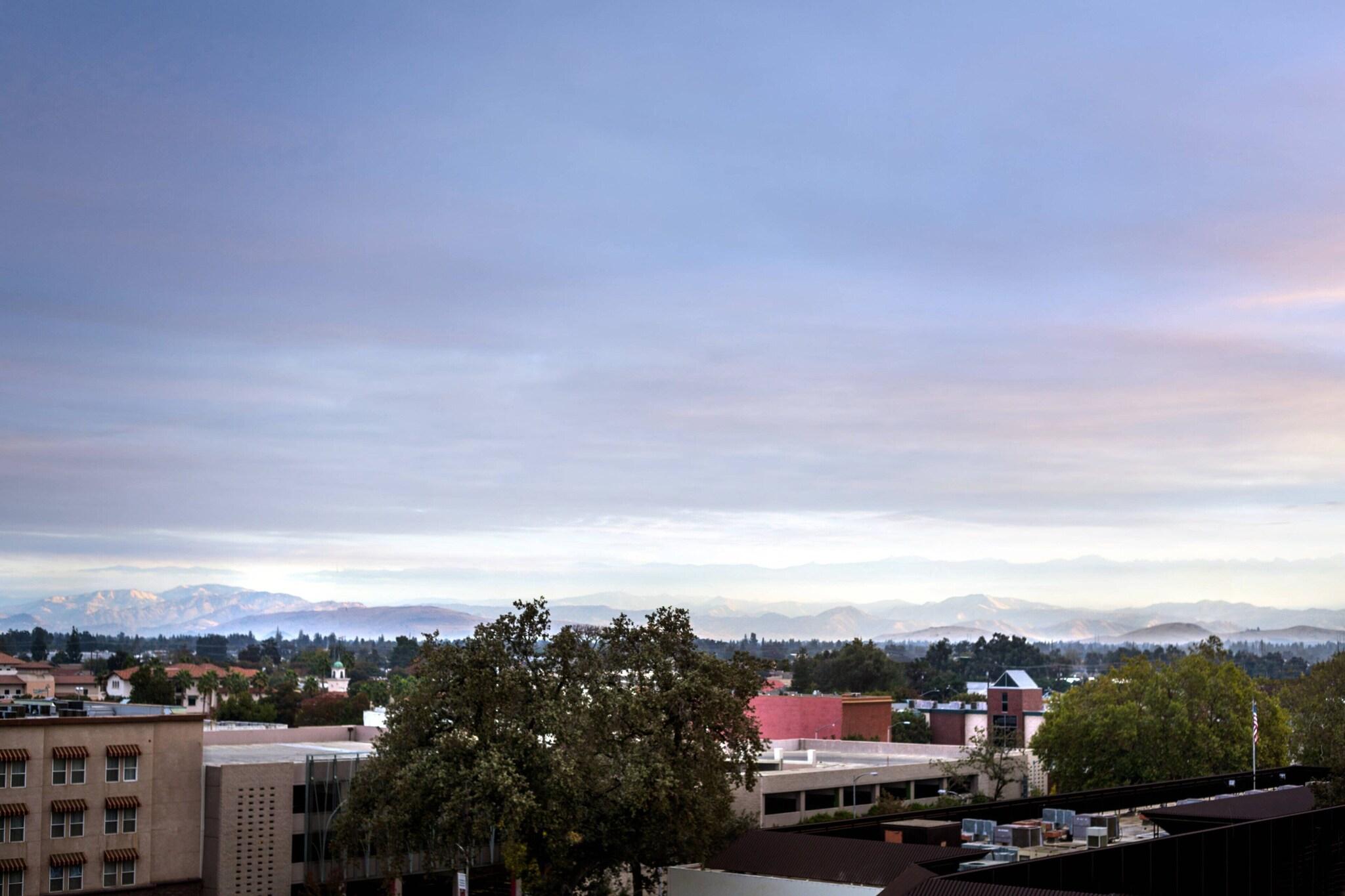 Double Executive Two Queen Beds