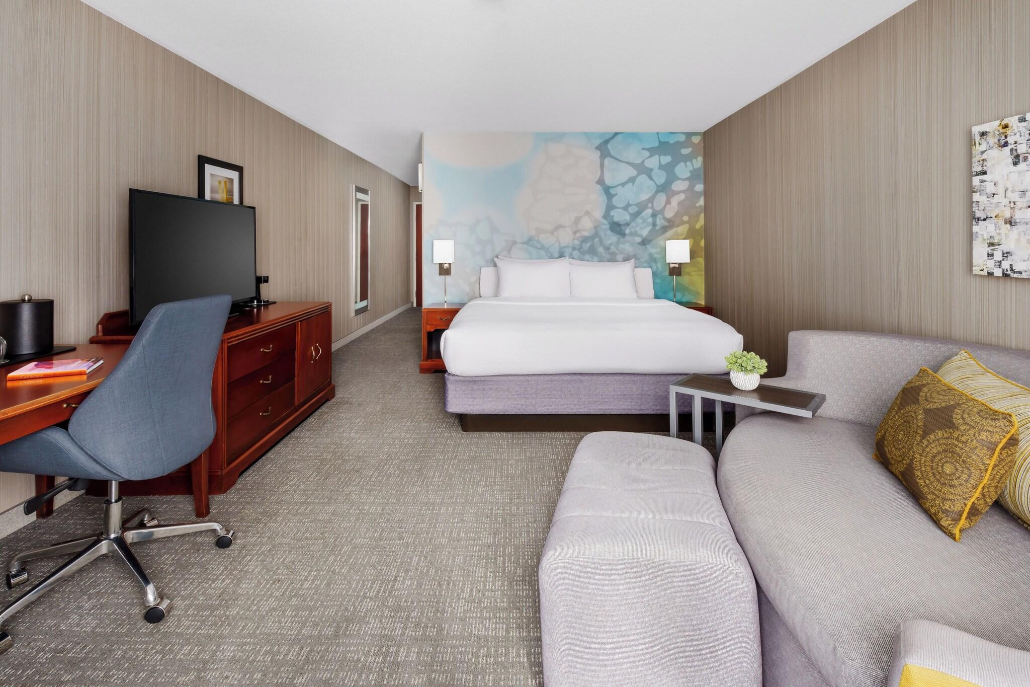 Suite King Bed One Bedroom 