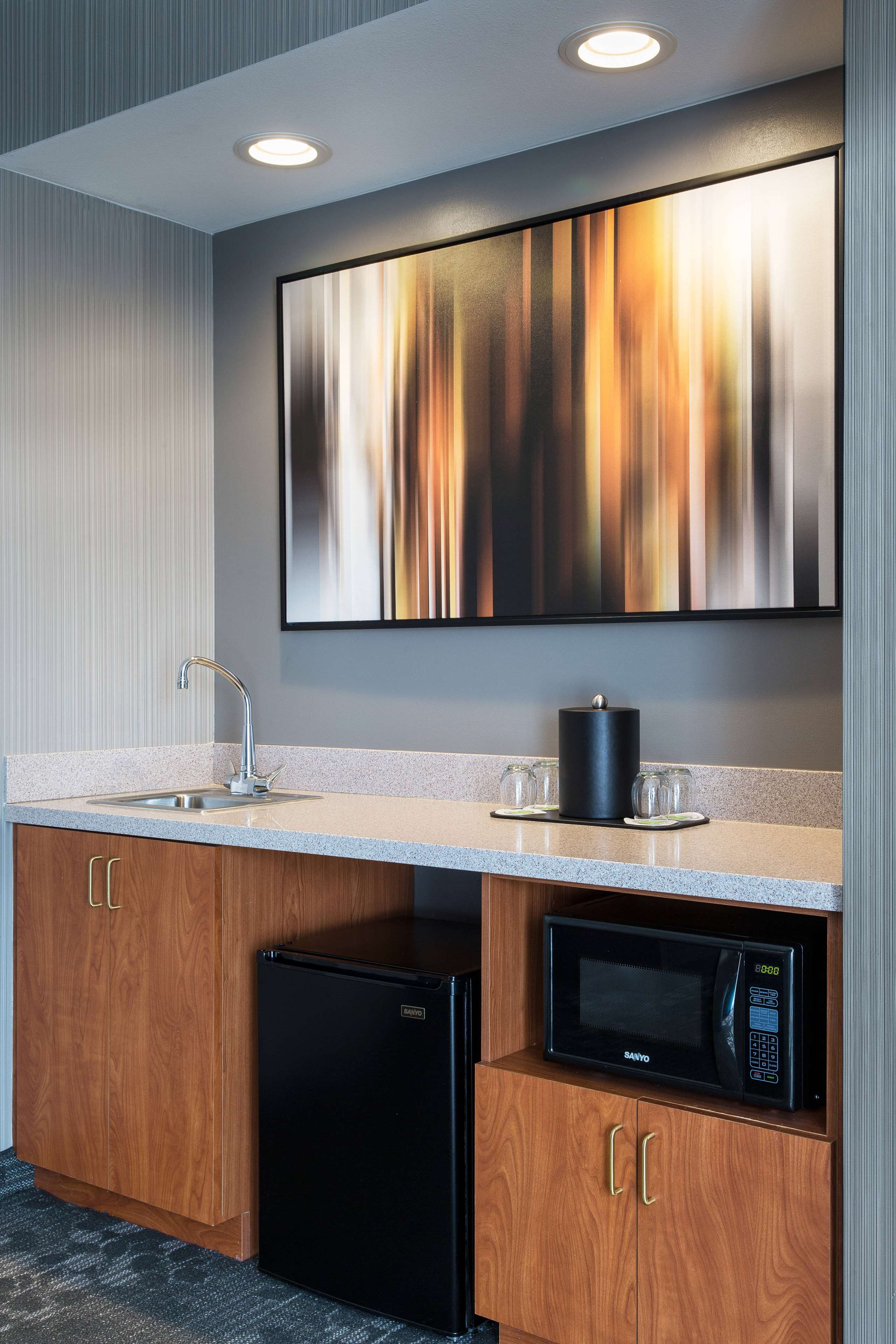 Suite King Bed One Bedroom 