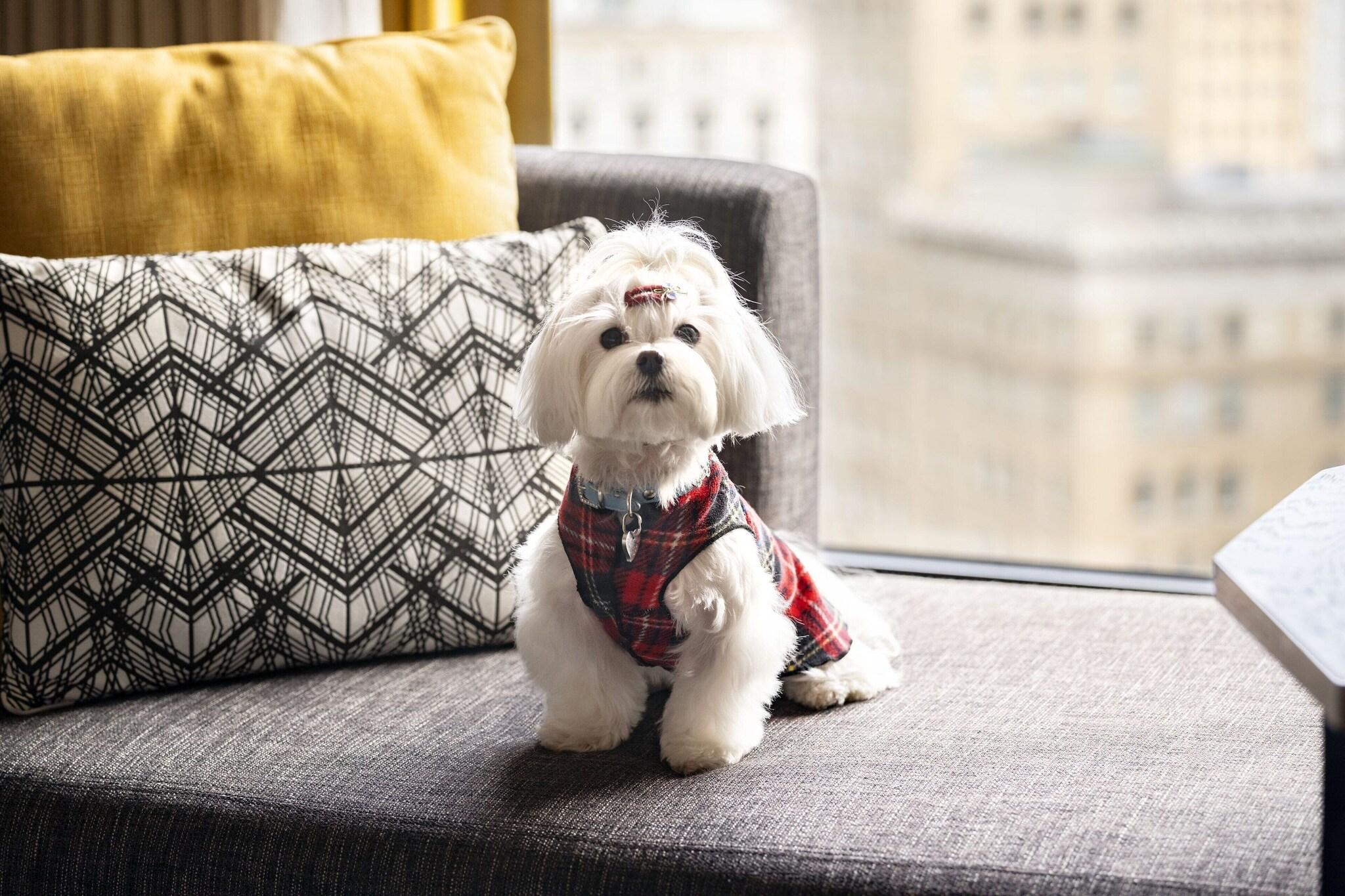 Double Accessible with Views