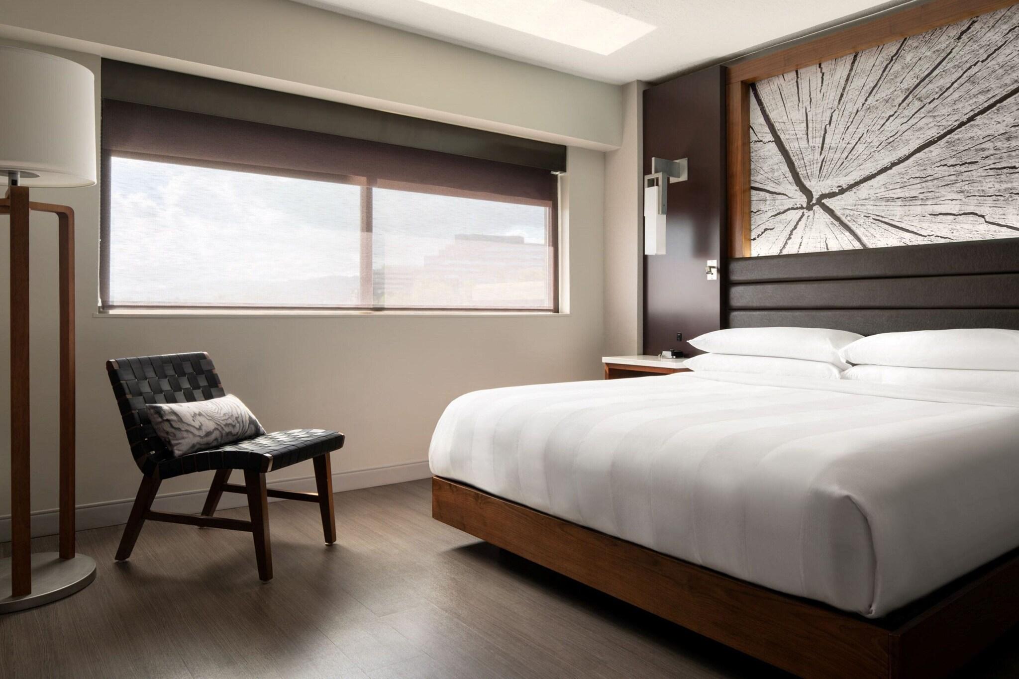 Suite King Bed One Bedroom 