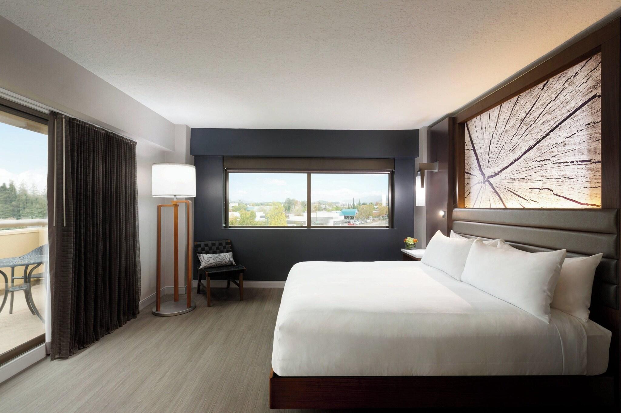 Suite King Bed One Bedroom 