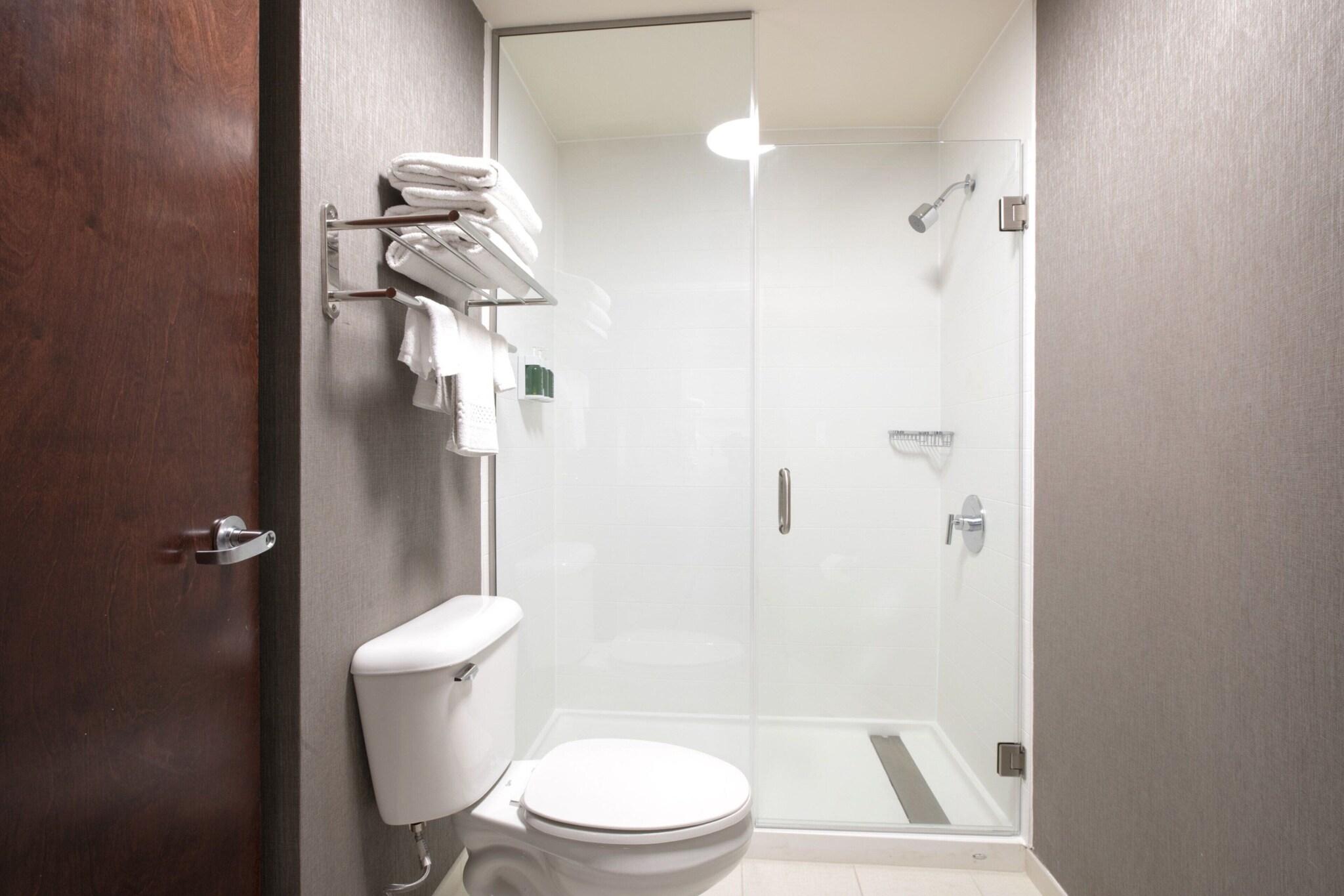 Studio Accessible King Size Bed