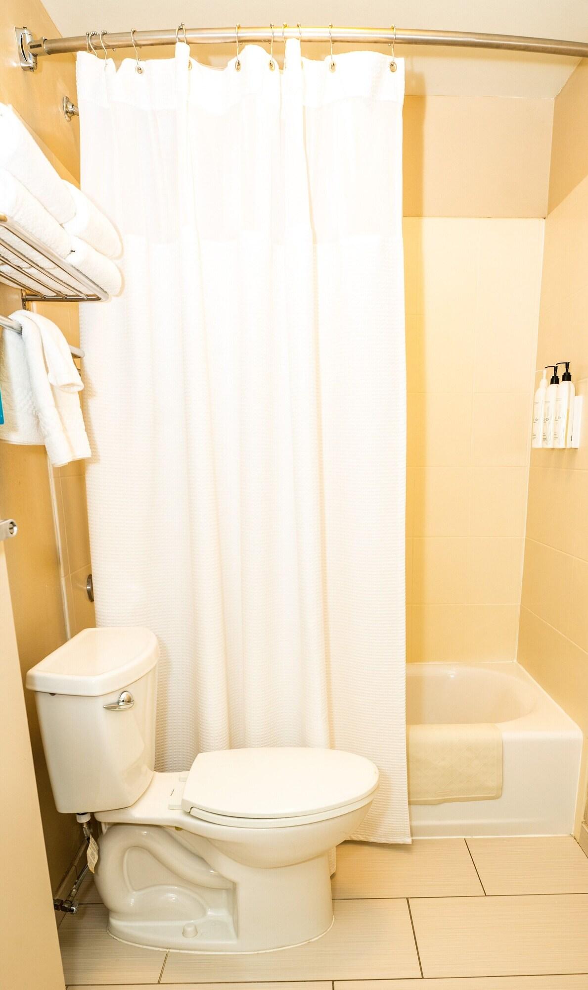 Suite Accessible King Size Bed