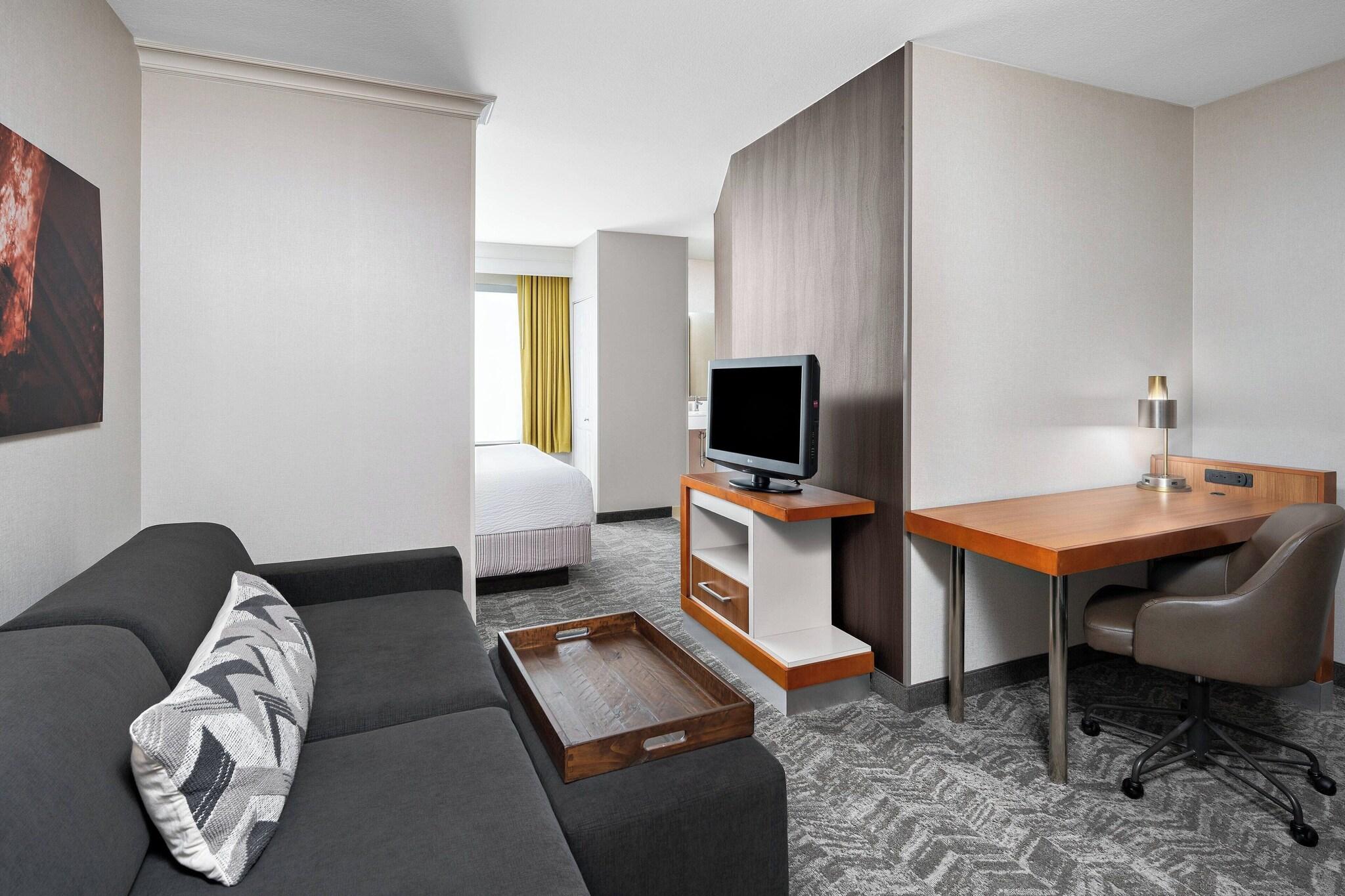 Suite Accessible King Size Bed