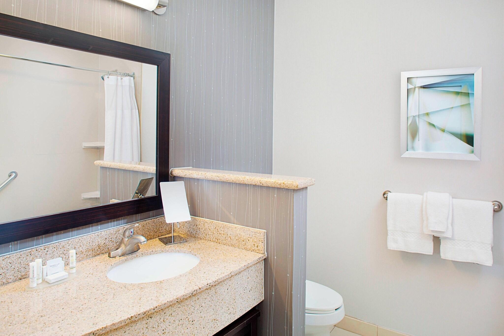 Suite Accessible King Size Bed