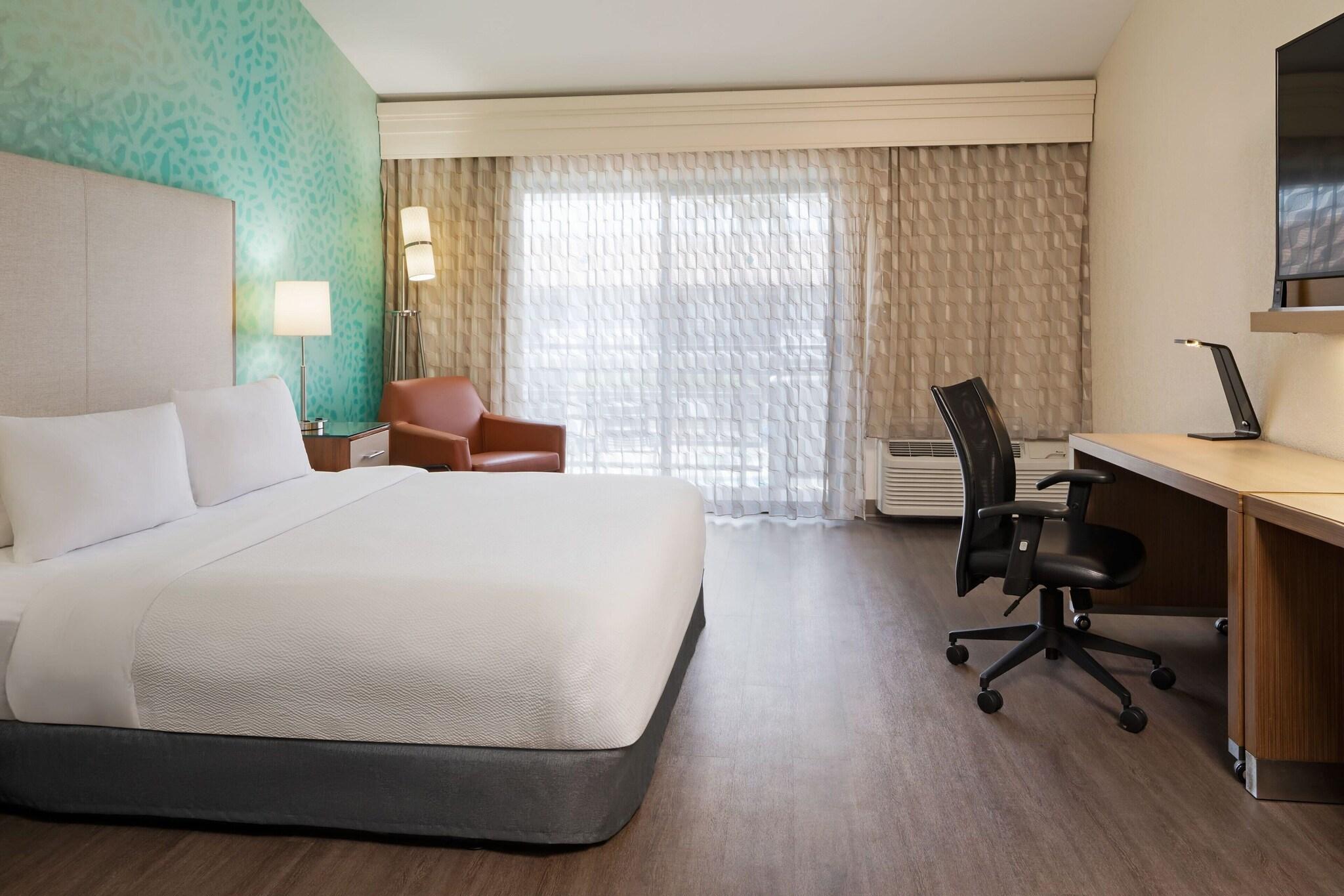 Studio King Size Bed