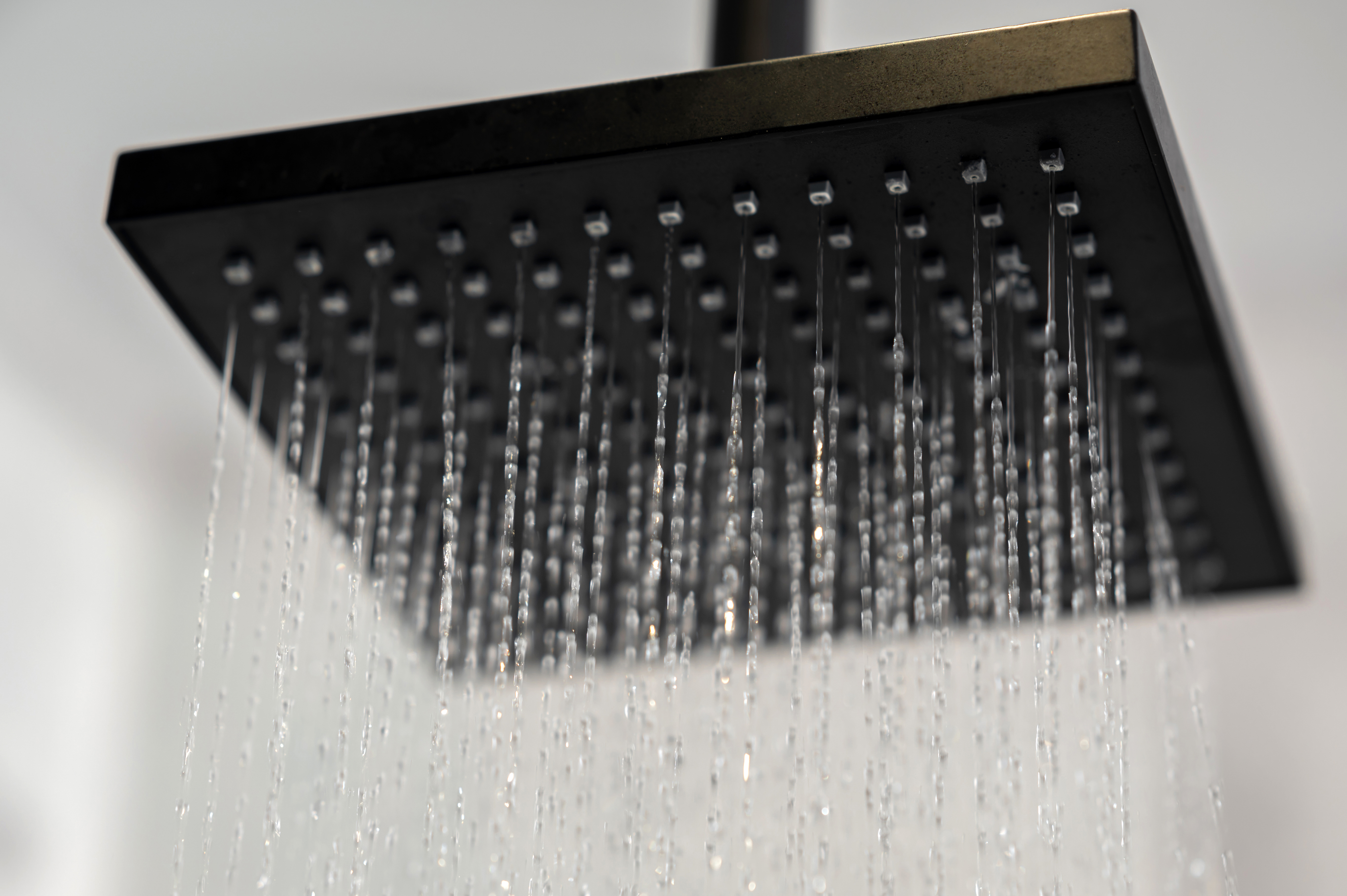 Double or Twin Economy