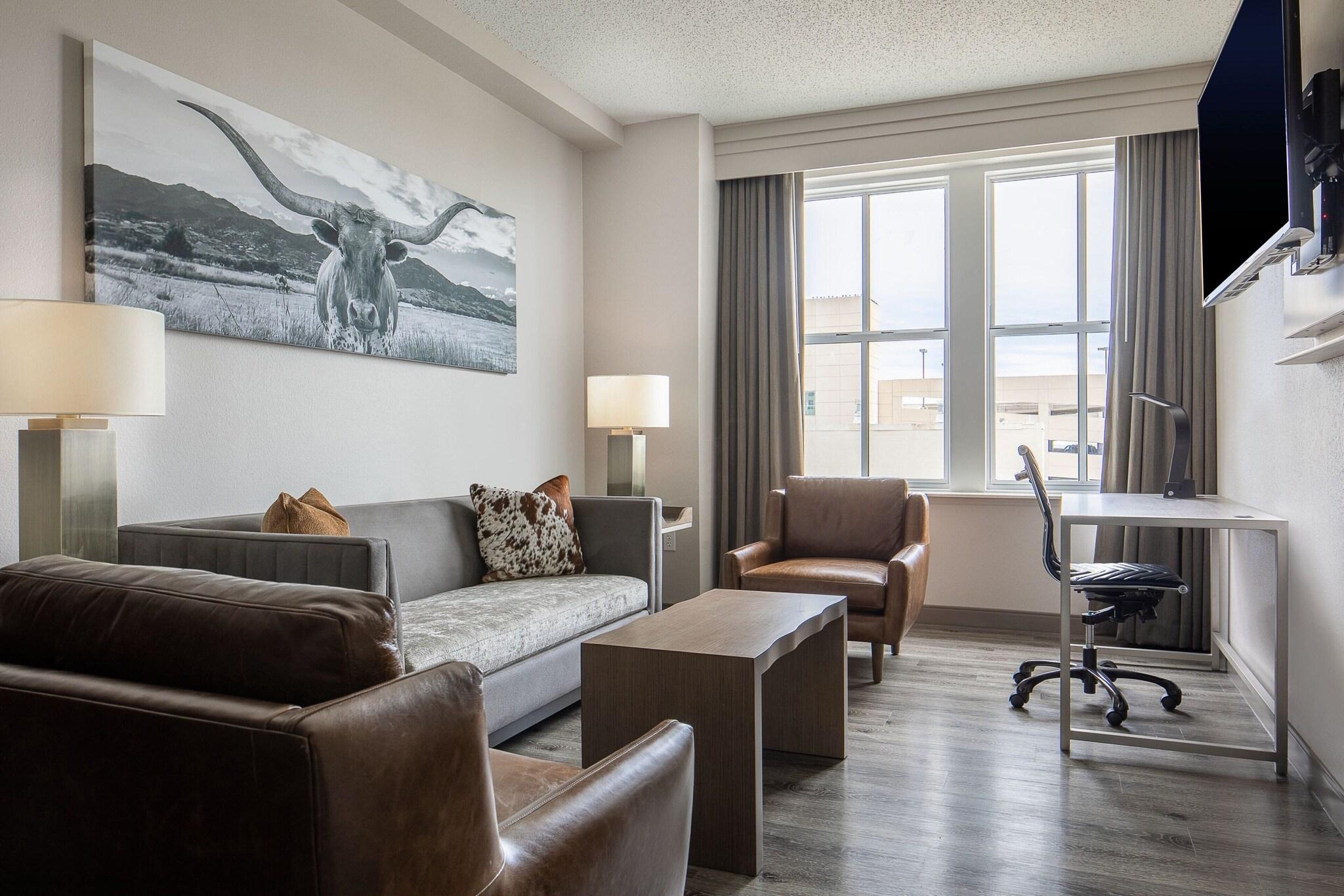 Suite Accessible King Size Bed