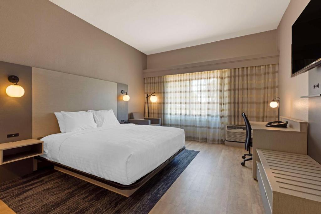 Room Accessible King Size Bed