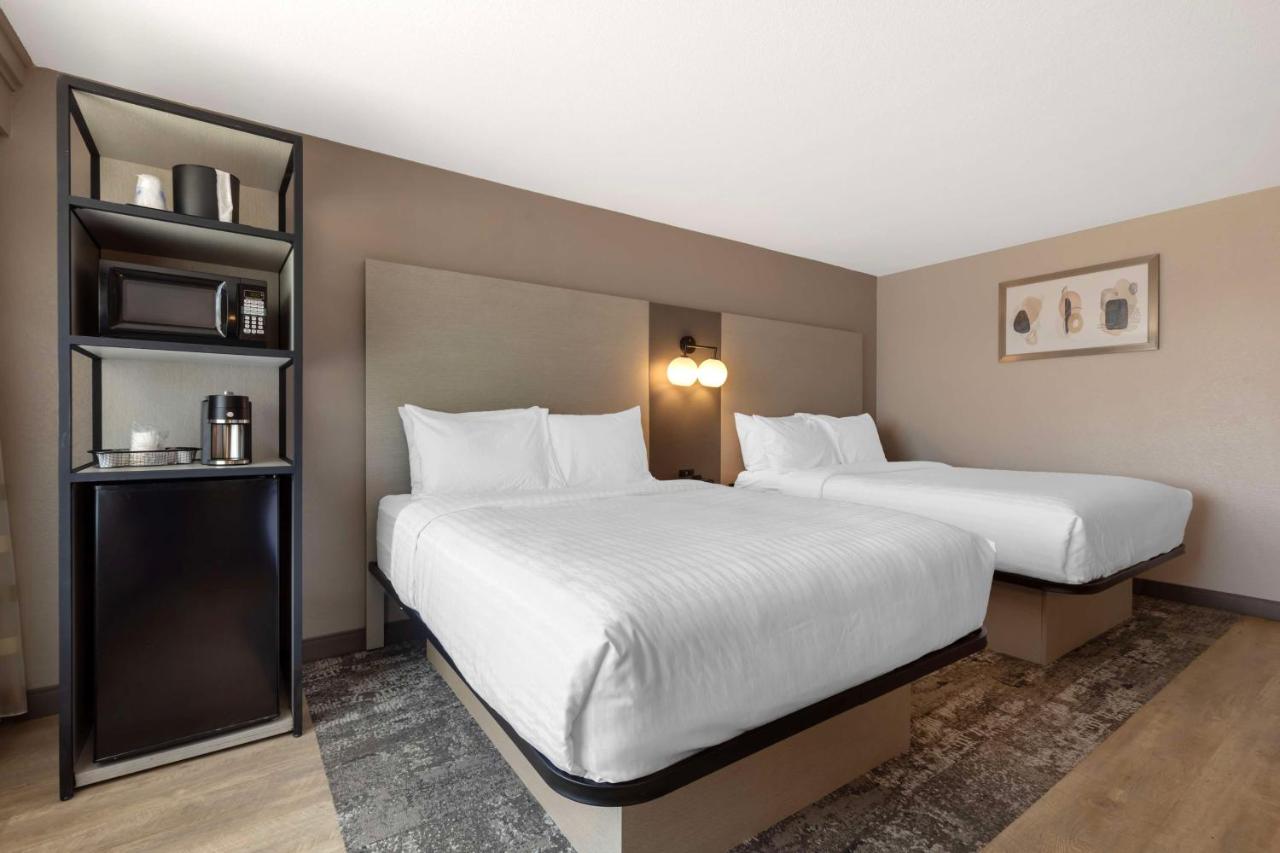 Room Accessible-two Queen Beds