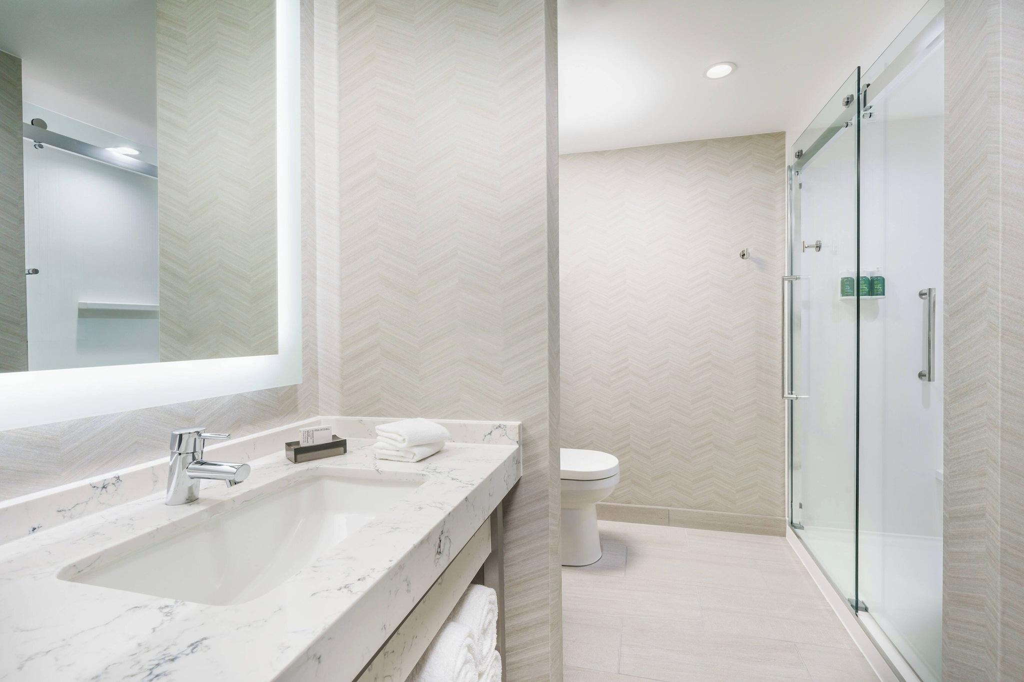 Suite King Bed Non Smoking