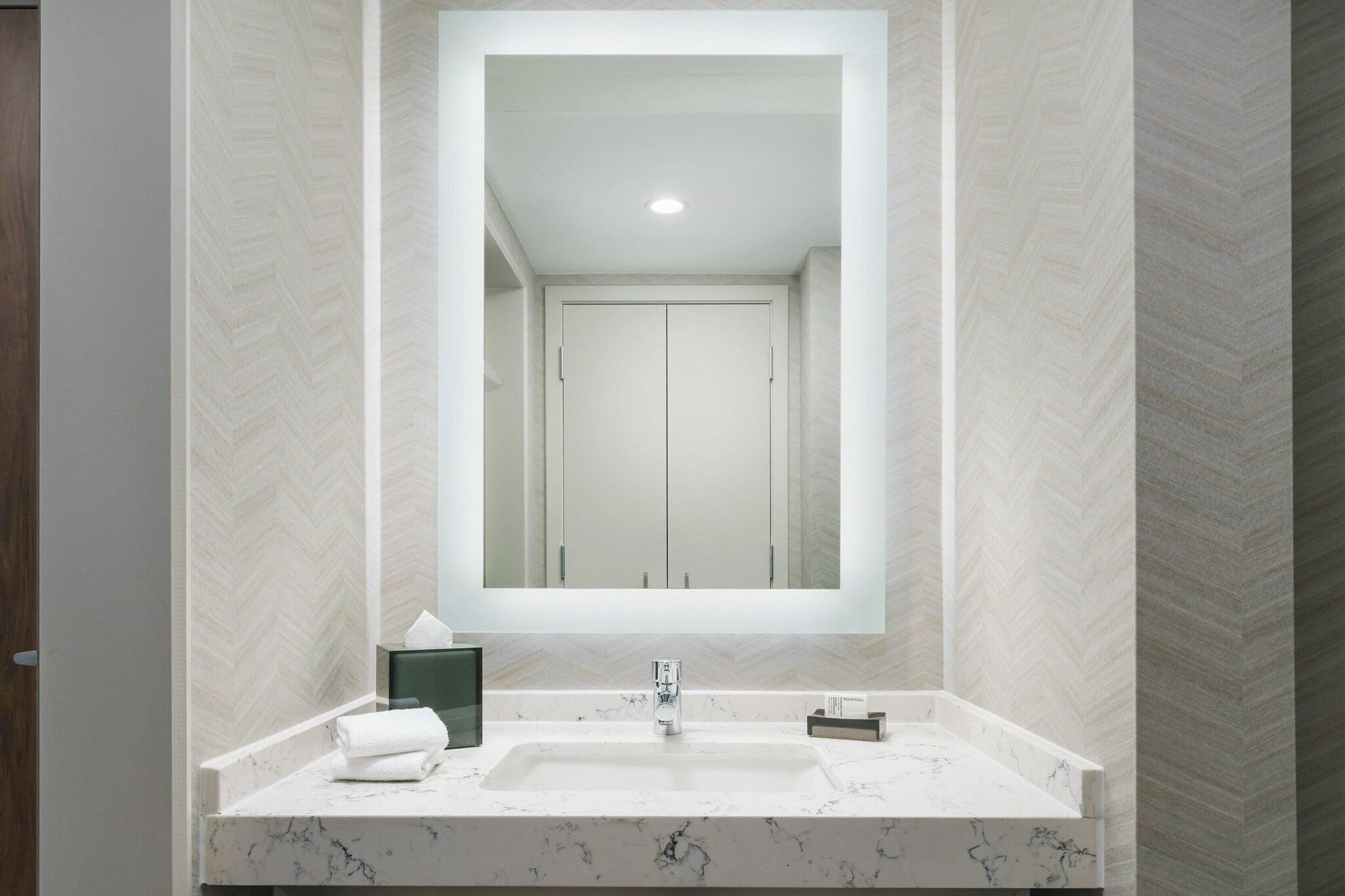 Suite King Bed One Bedroom 