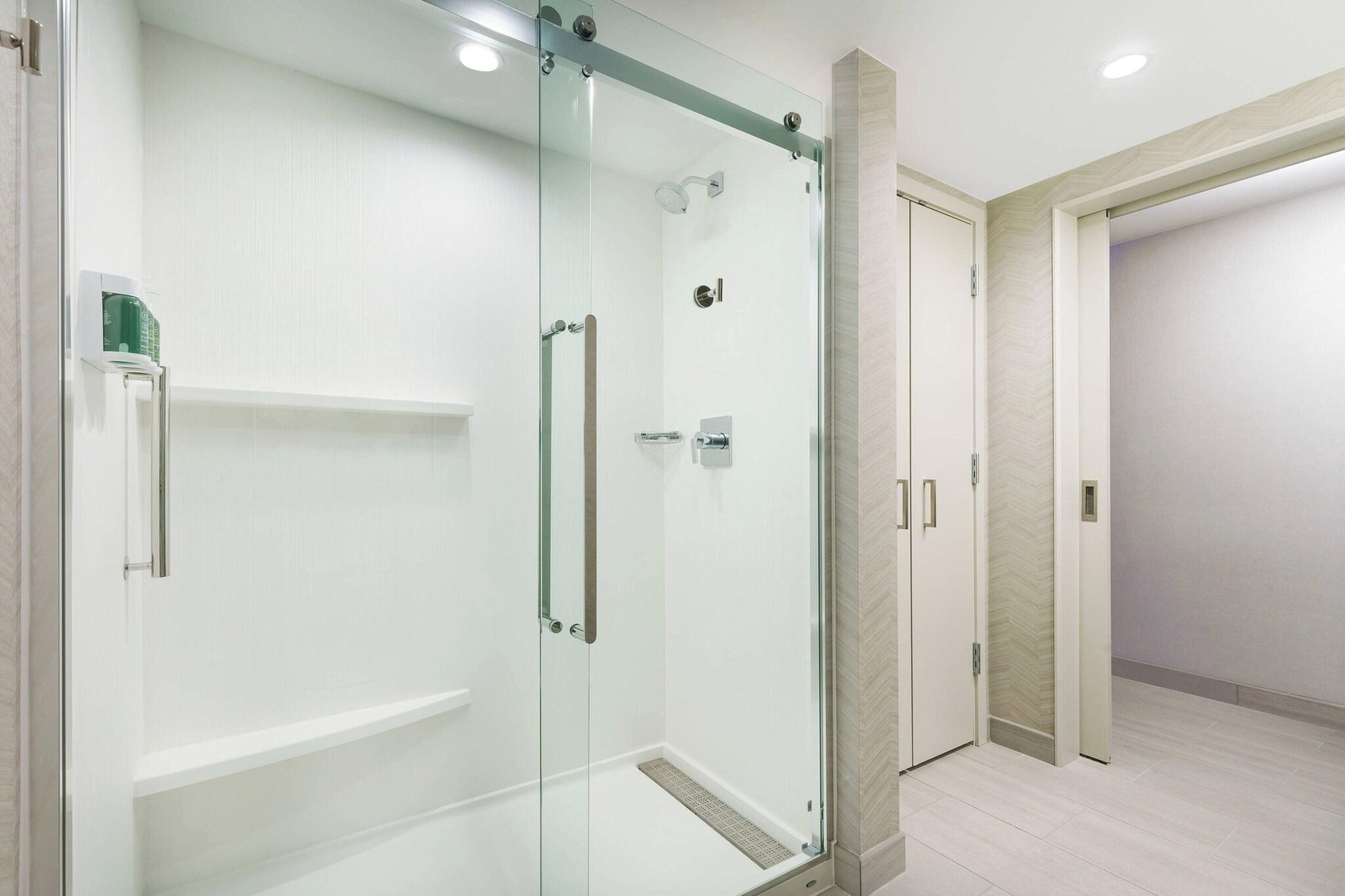 Suite King Bed One Bedroom 