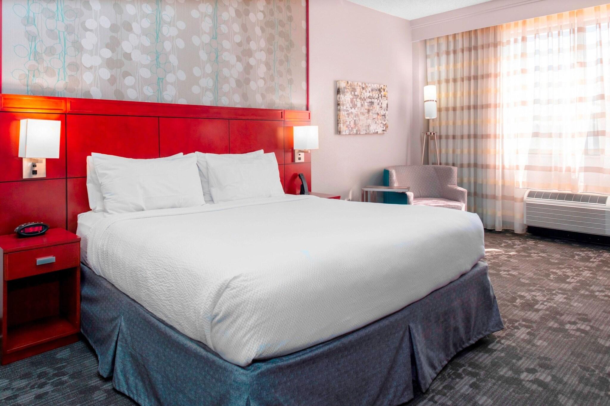 Suite King Bed One Bedroom 