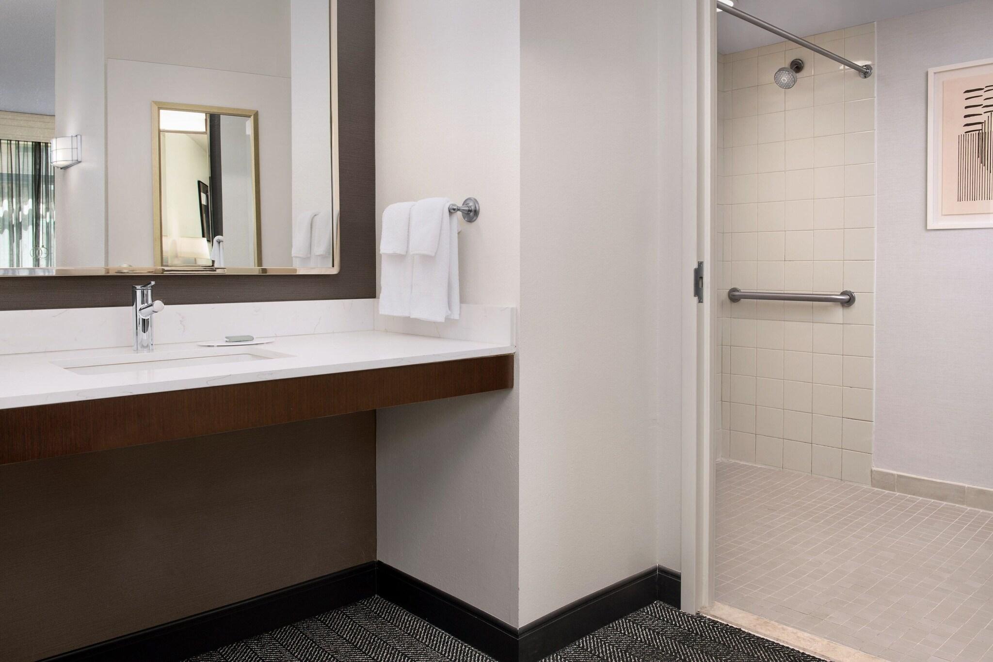 Suite King Bed One Bedroom 