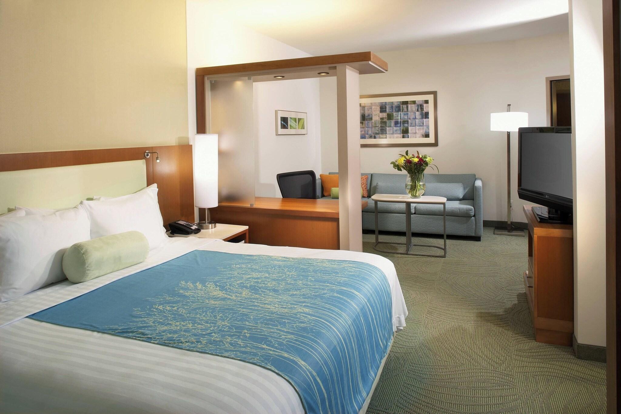 Suite King Bed One Bedroom 