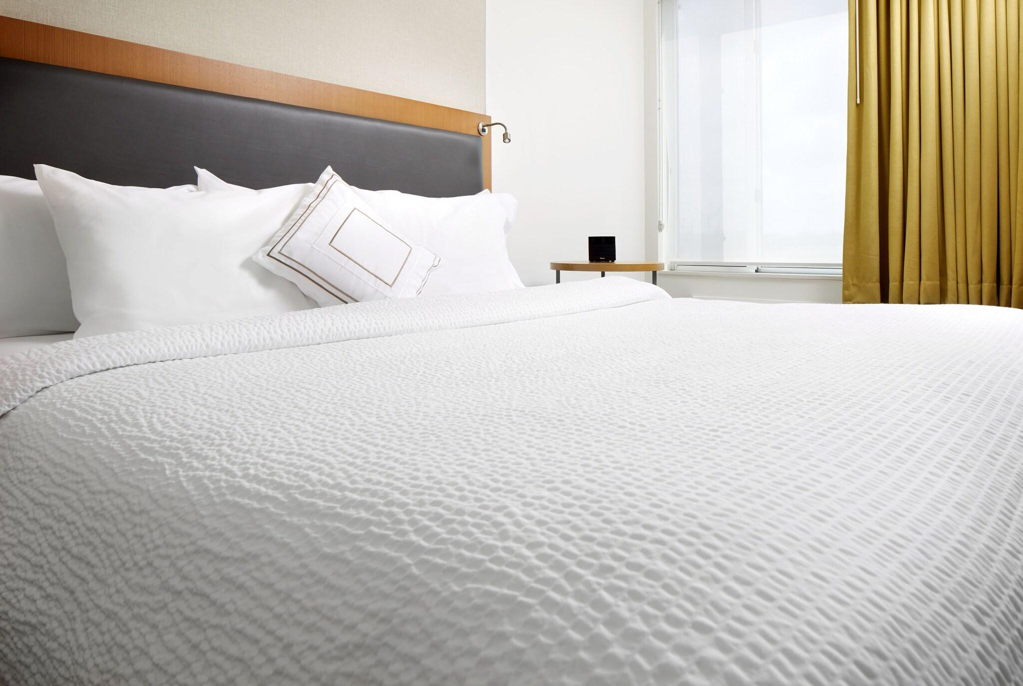 Suite King Bed One Bedroom 