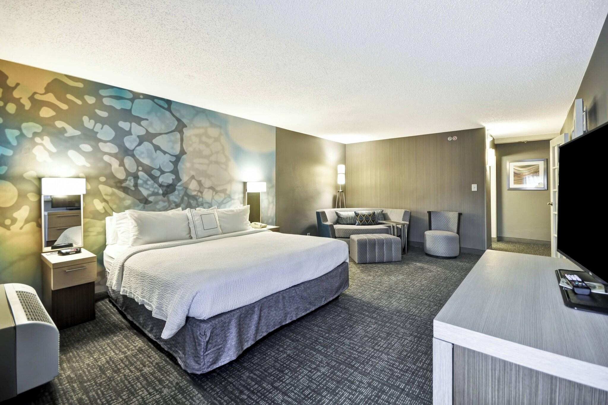 Suite King Bed One Bedroom 