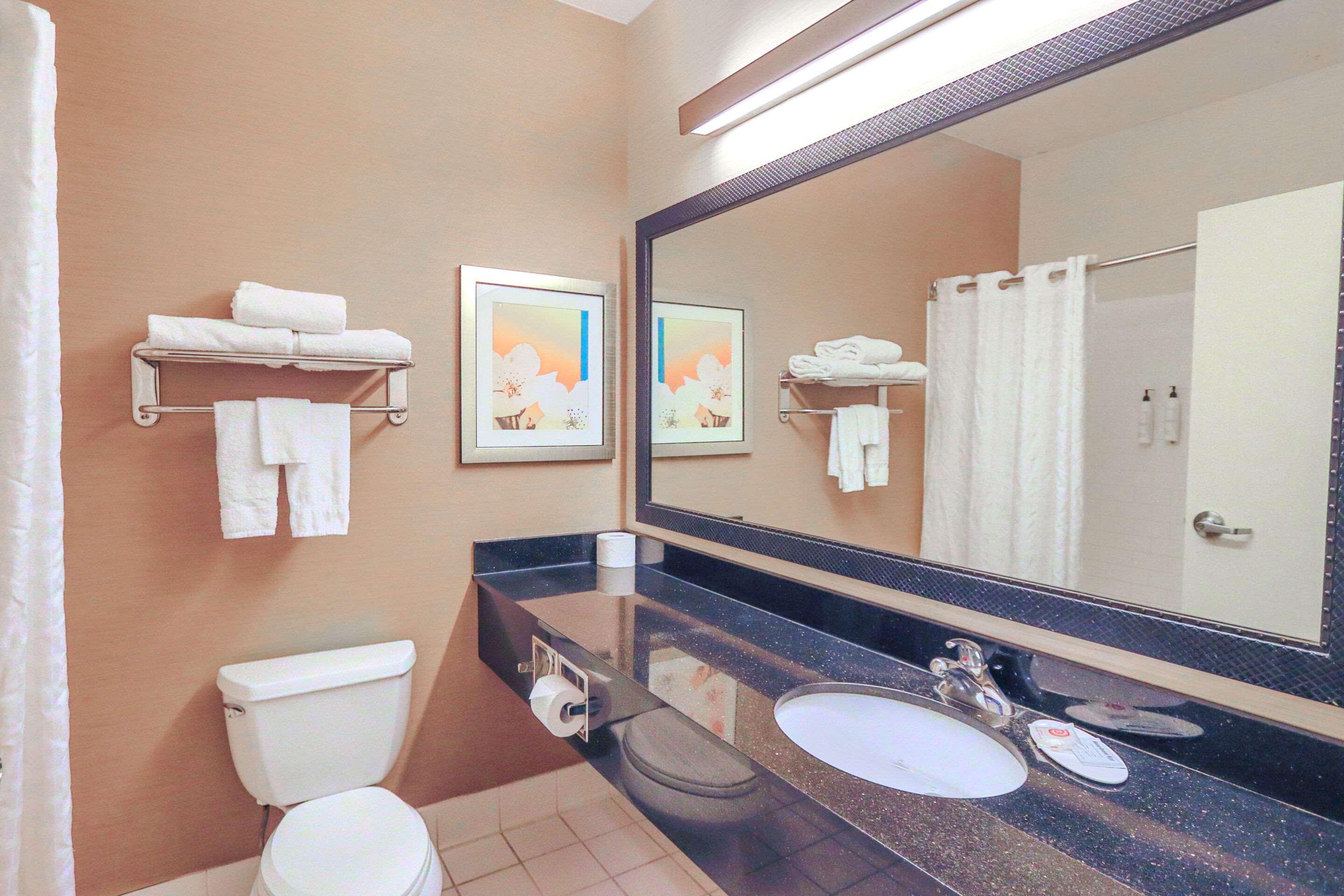 Suite Accessible King Size Bed