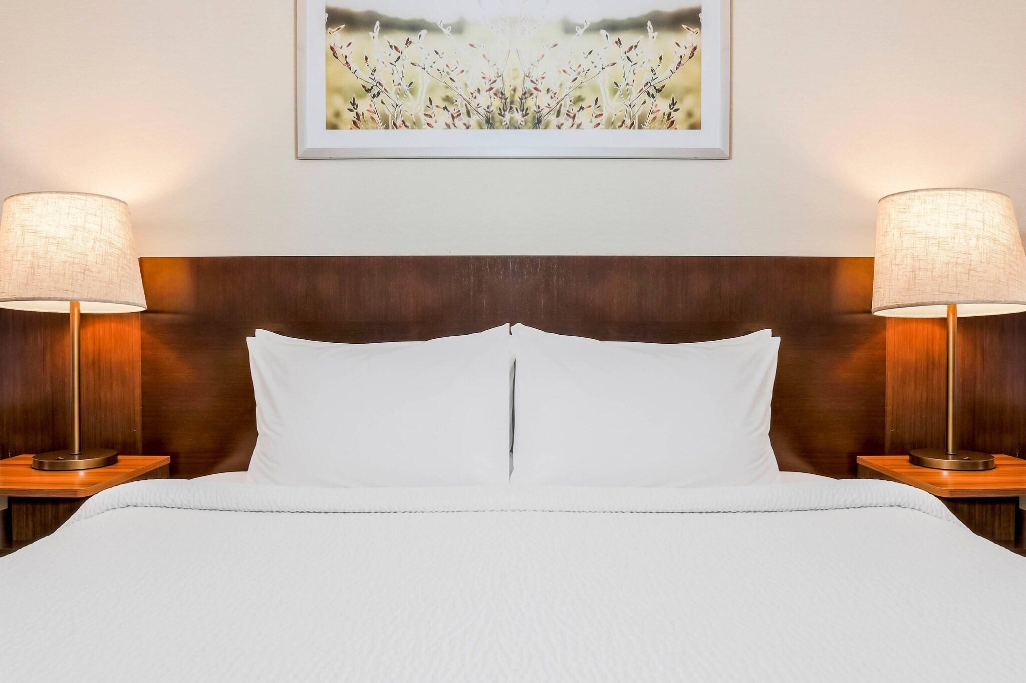 Suite Executive King Bed