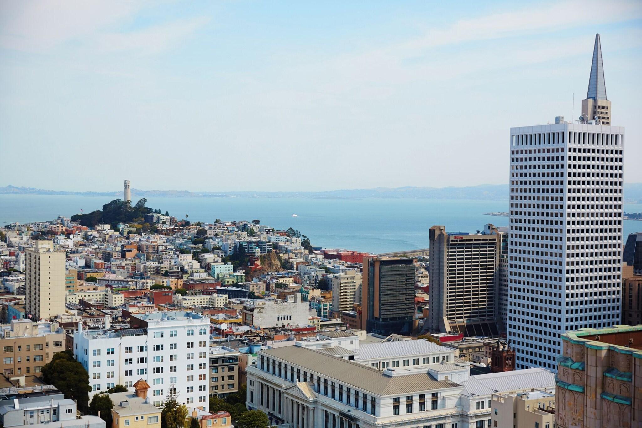 Double Bay View
