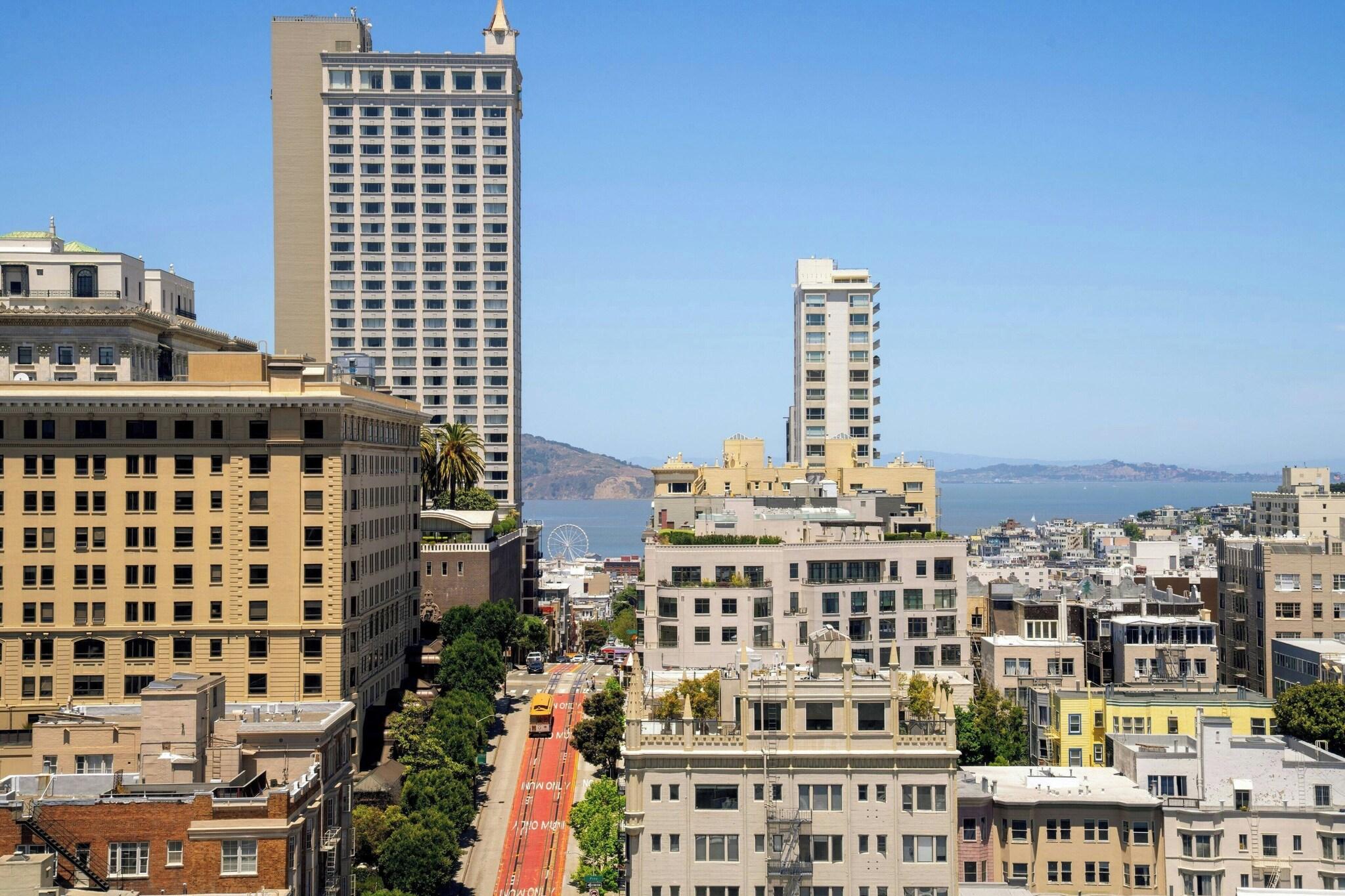 Double Bay View