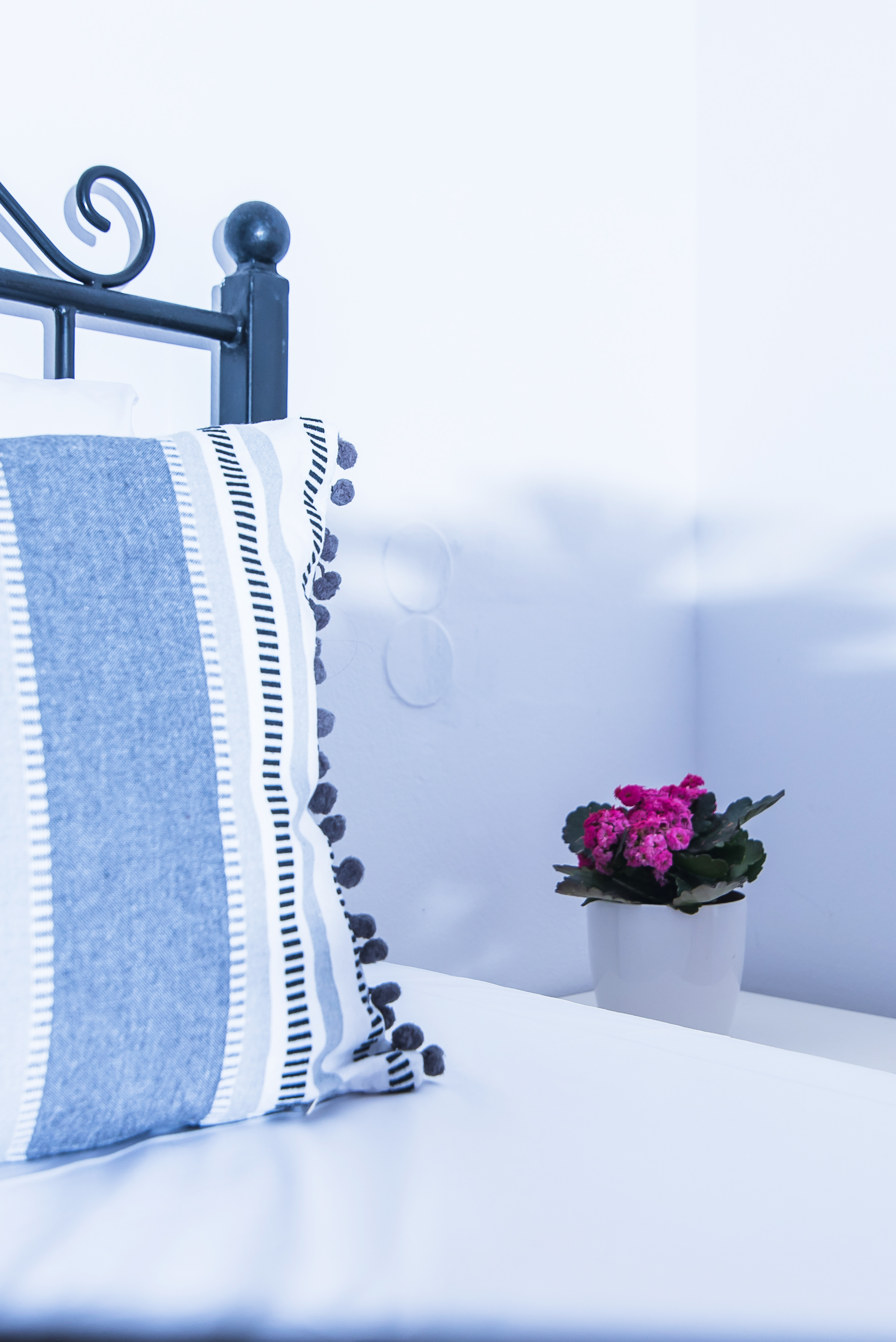 Apartment Superior One Bedroom