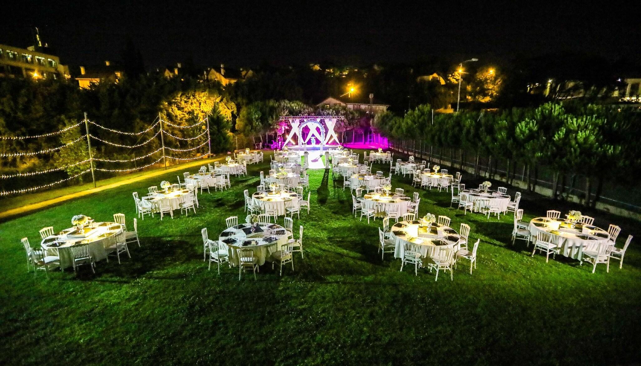 Sports and Entertainment