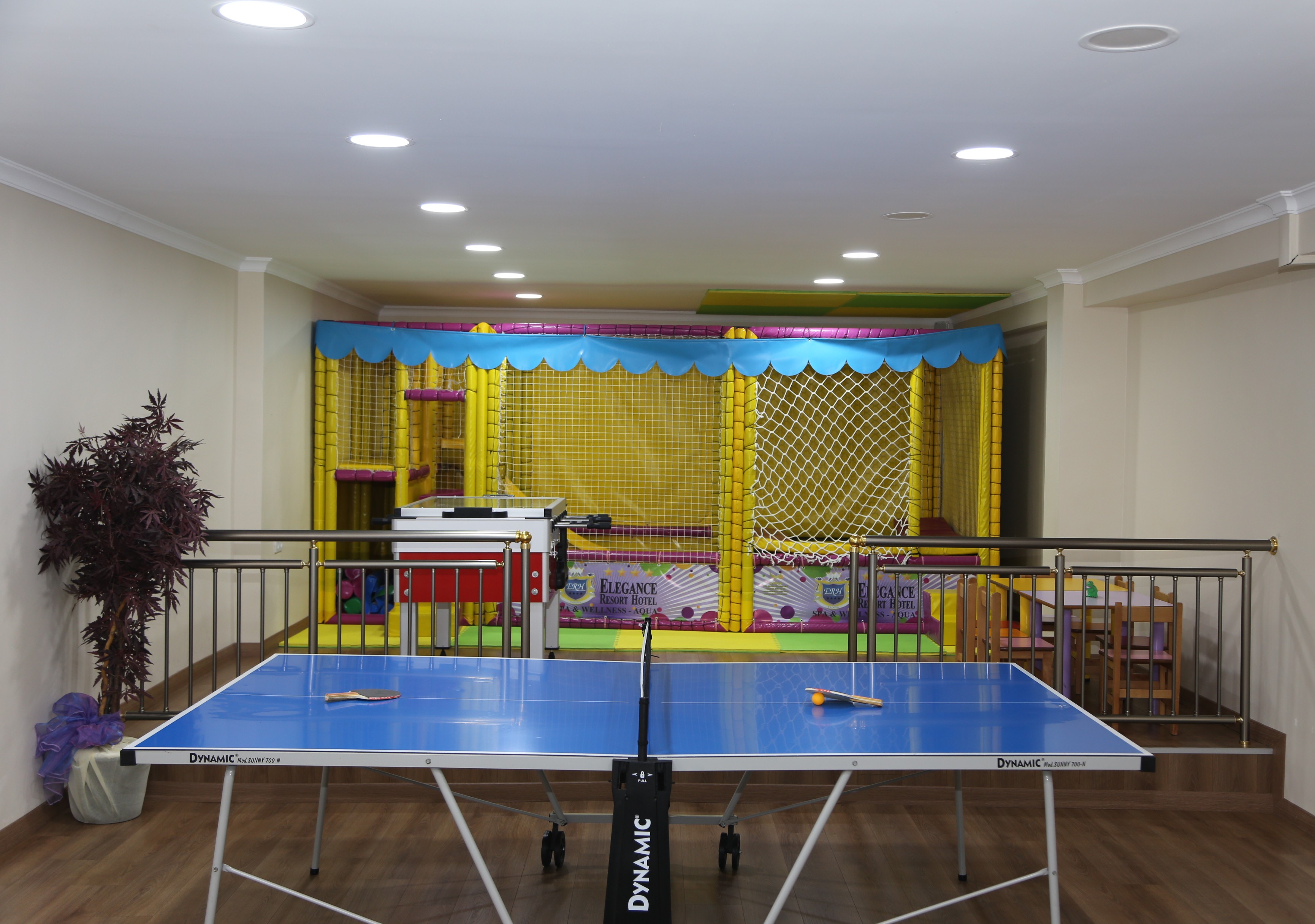 Sports and Entertainment