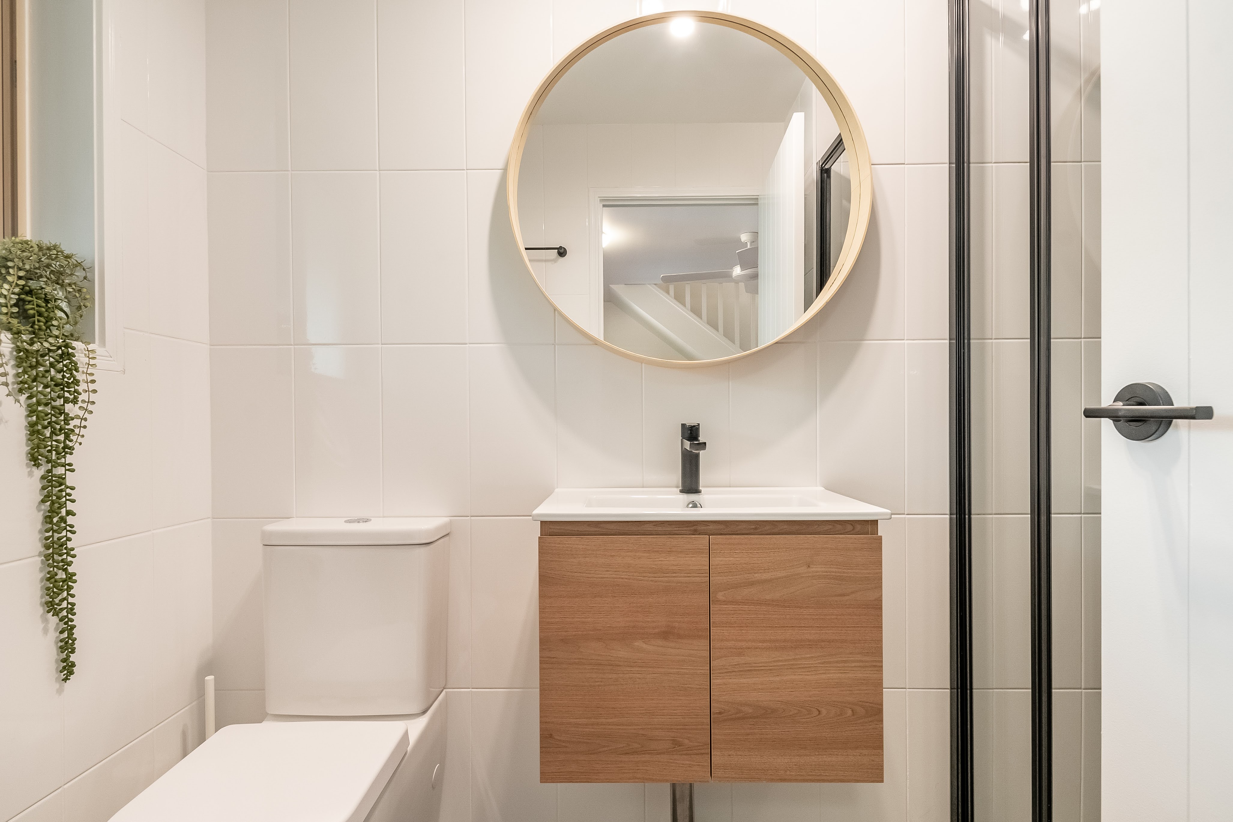 Apartment One Bedroom