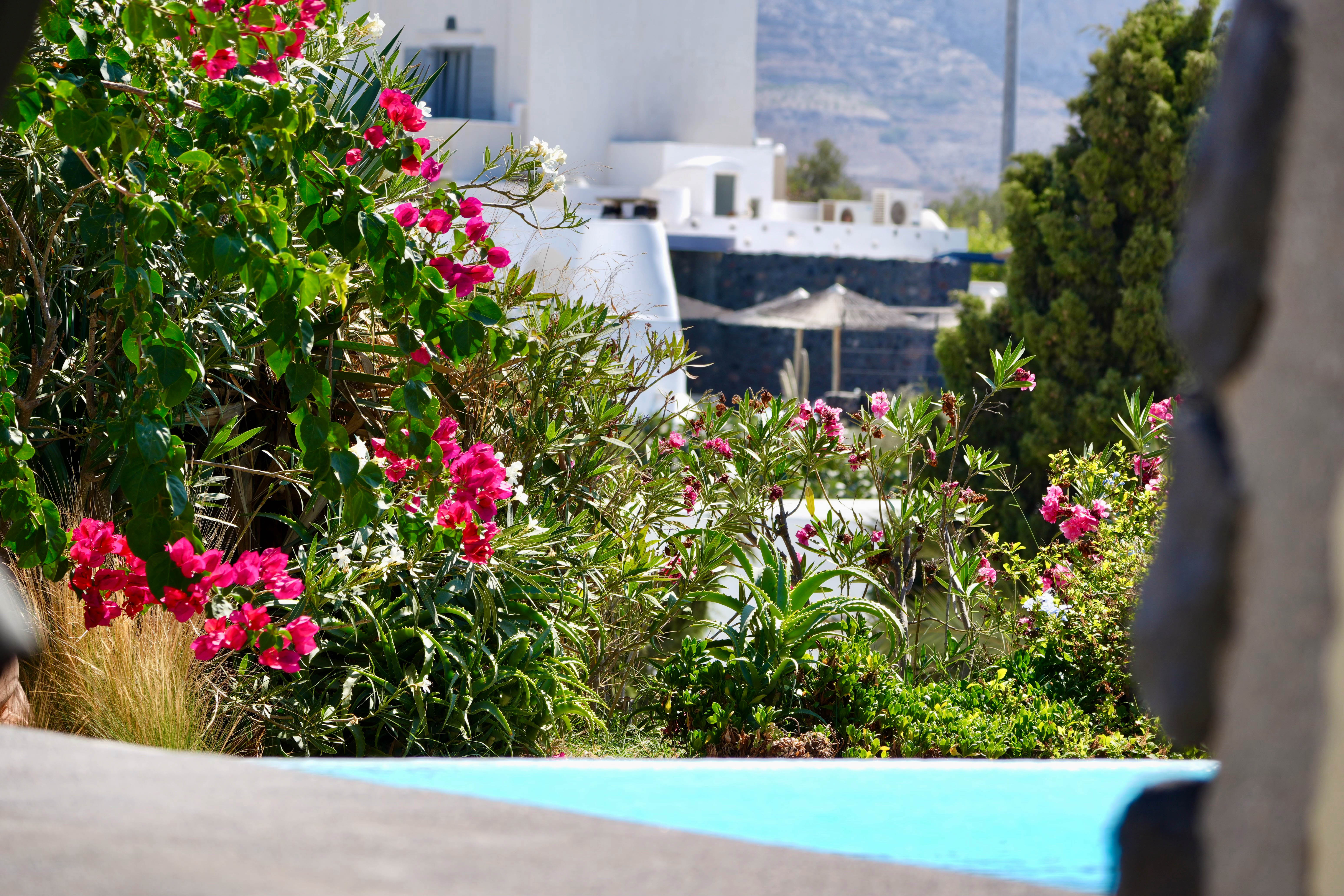 Villa Three Bedrooms with Private Pool