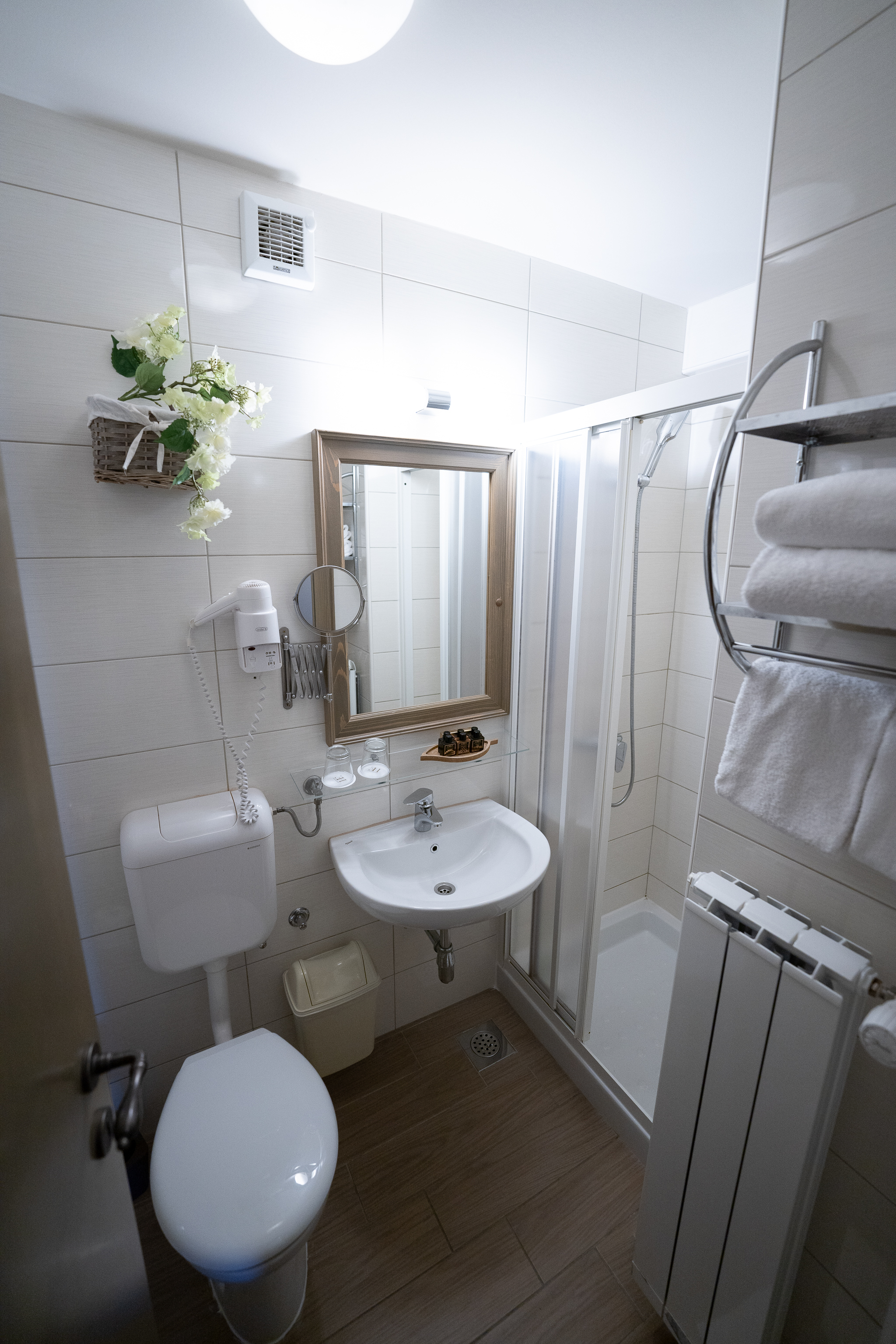 Double or Twin Economy