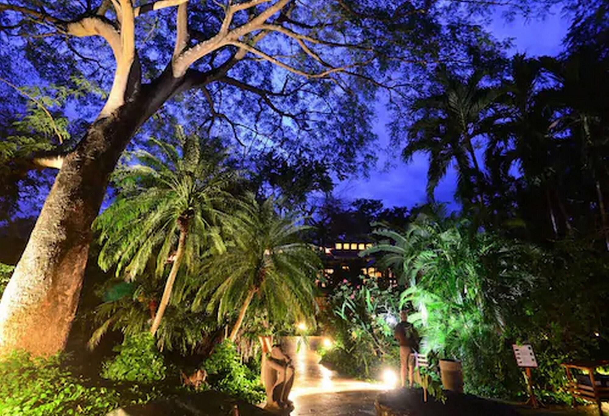 Double Superior King Bed