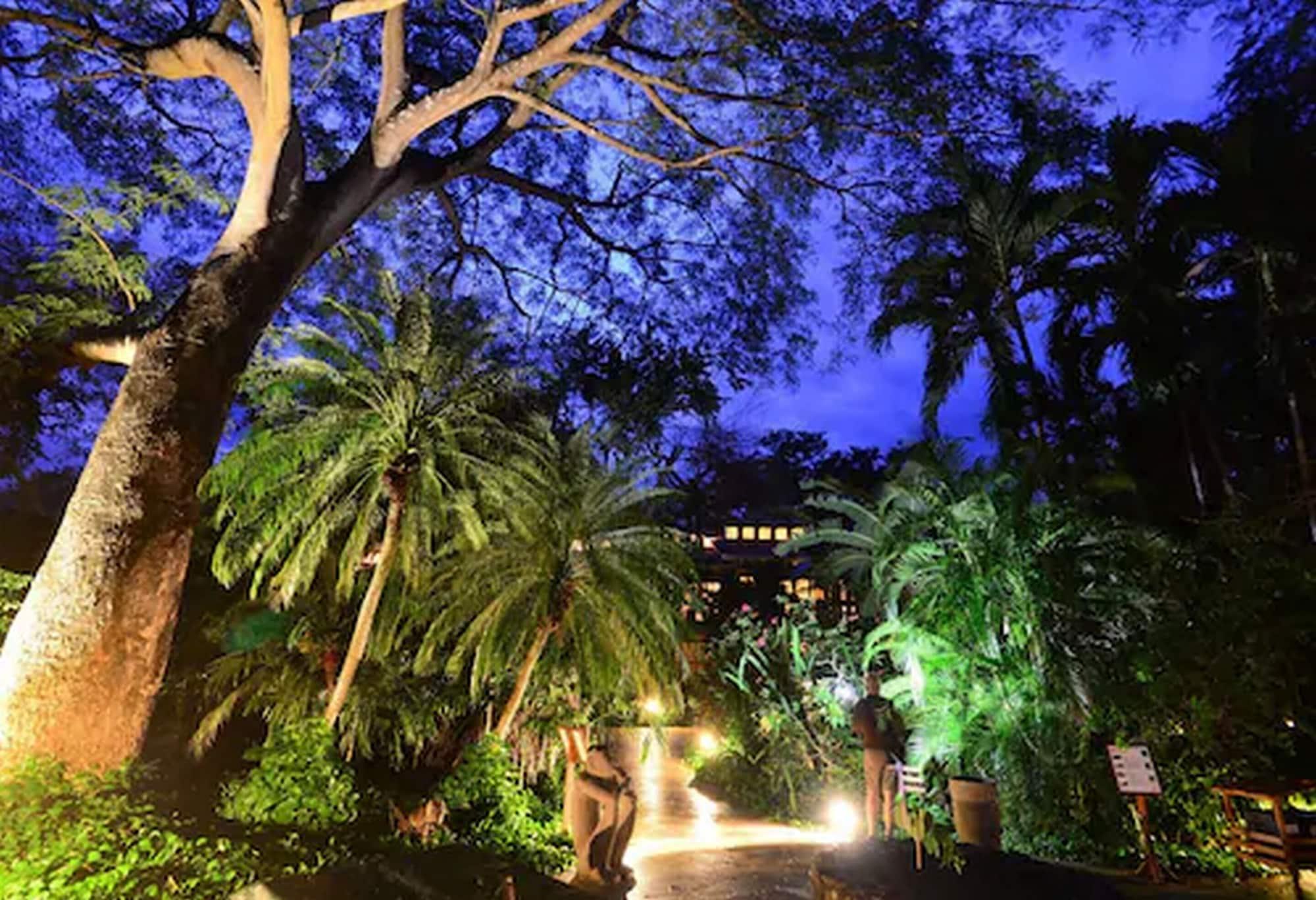 Double Superior King Bed