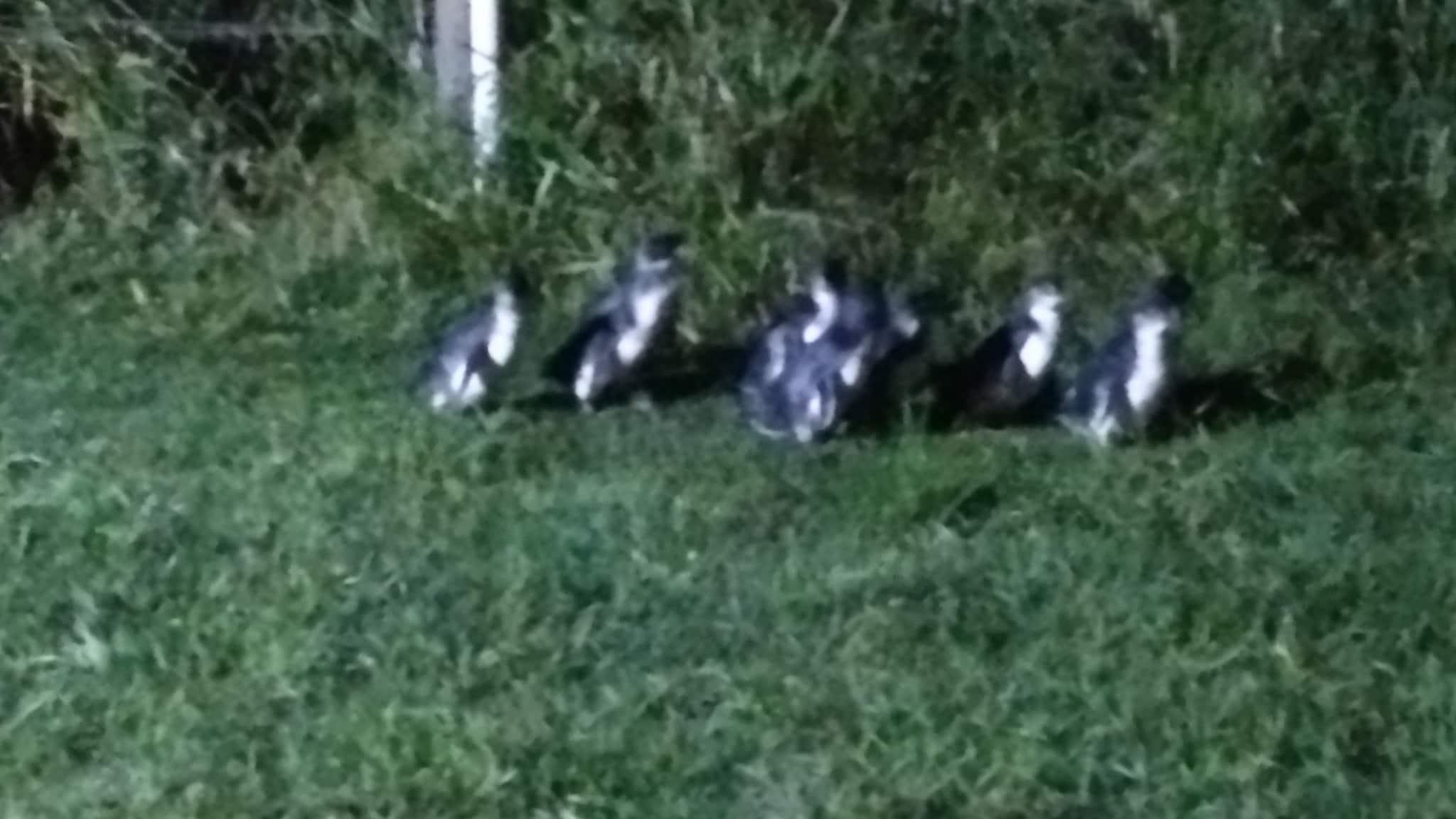 Double Superior Sea View