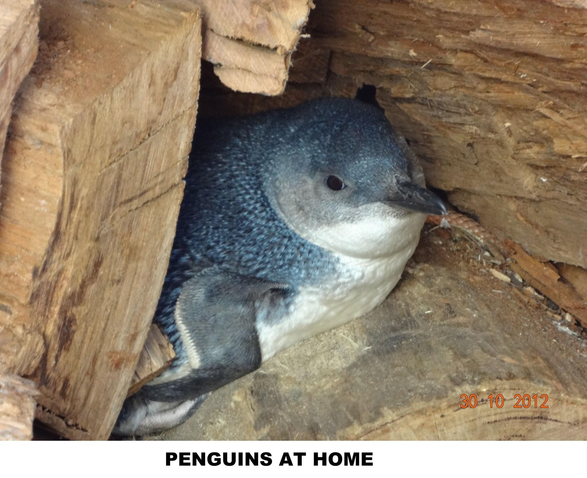 Double Superior Sea View